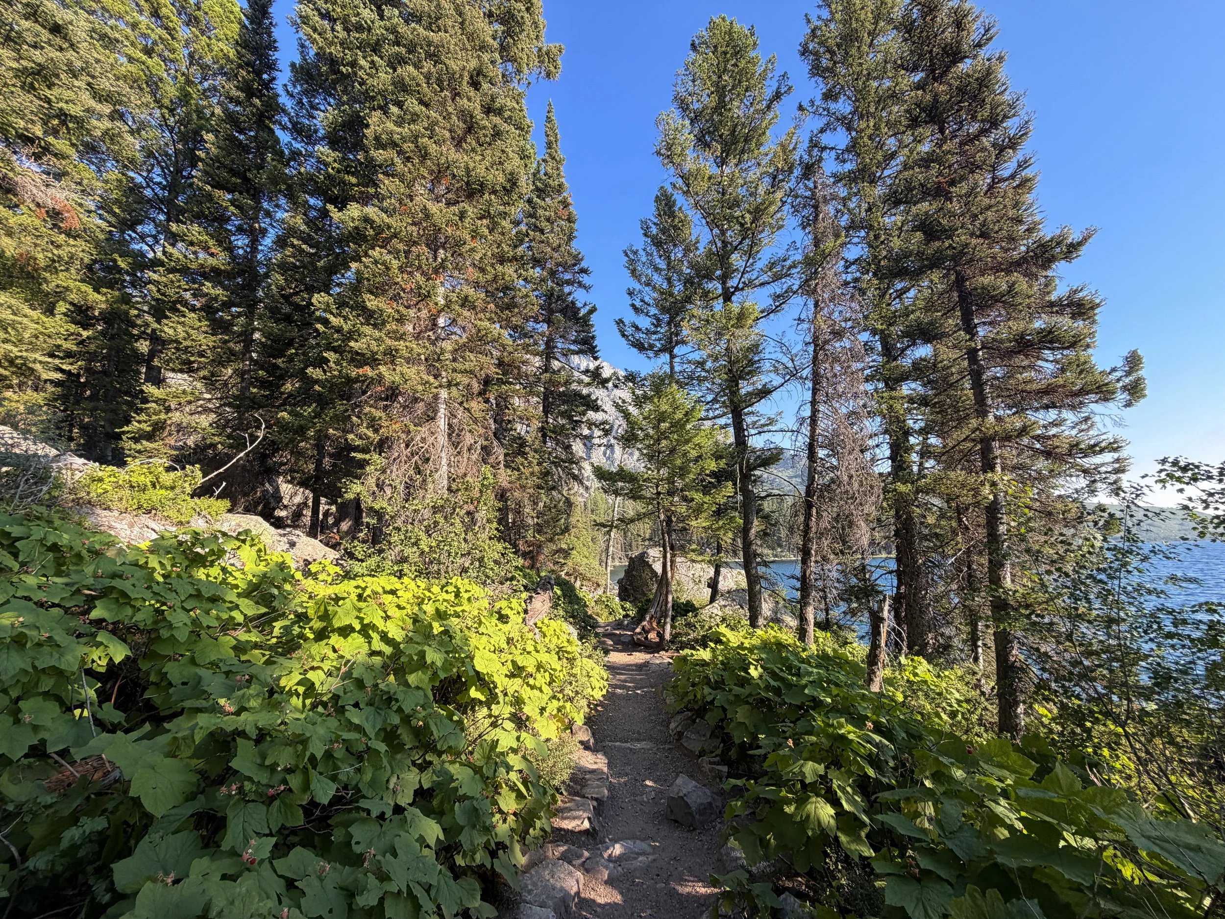 Hidden Falls Trail Grand Teton National Park Wyoming