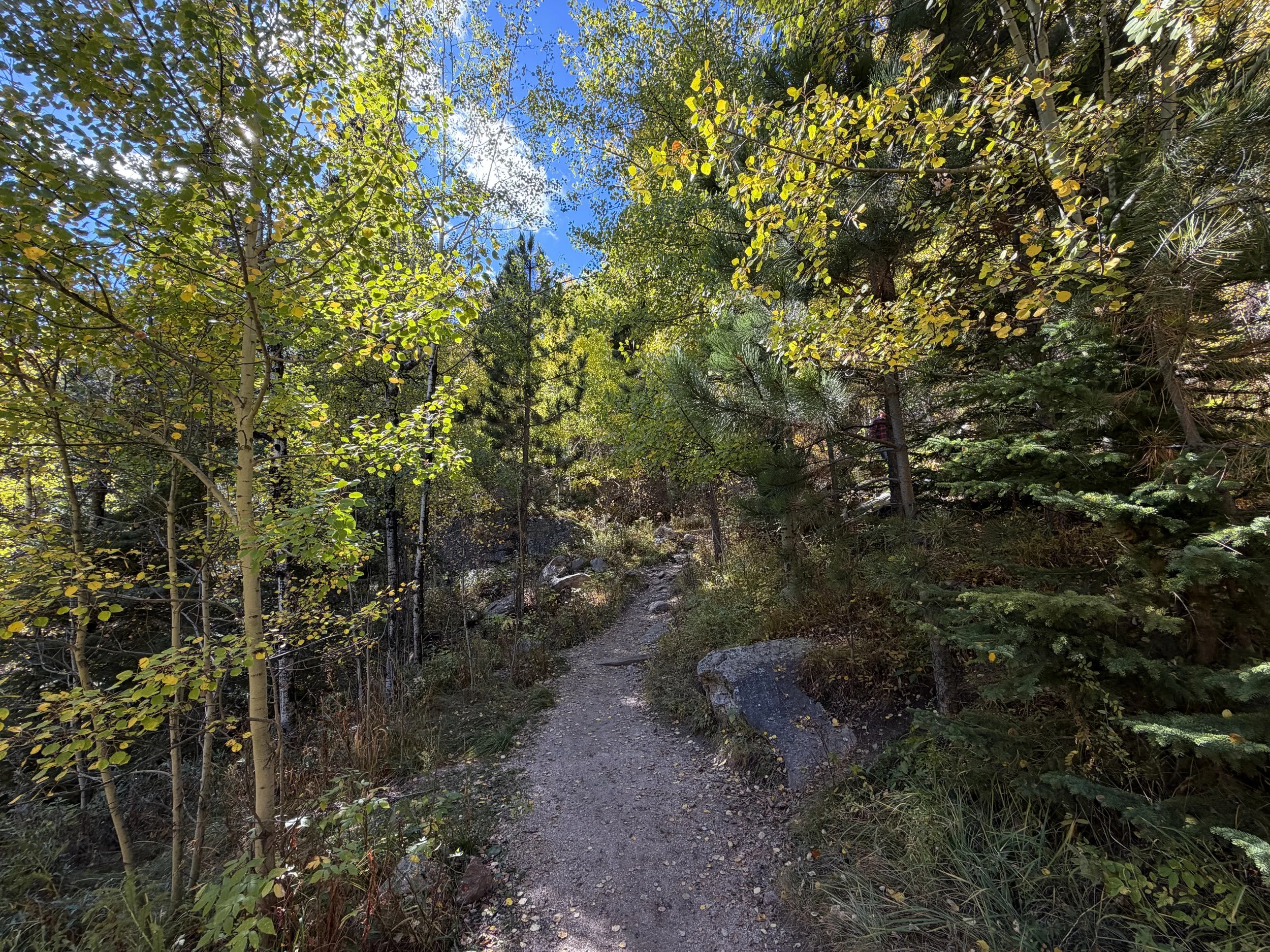 Cathedral Spires Hike Custer State Park Black Hills South Dakota