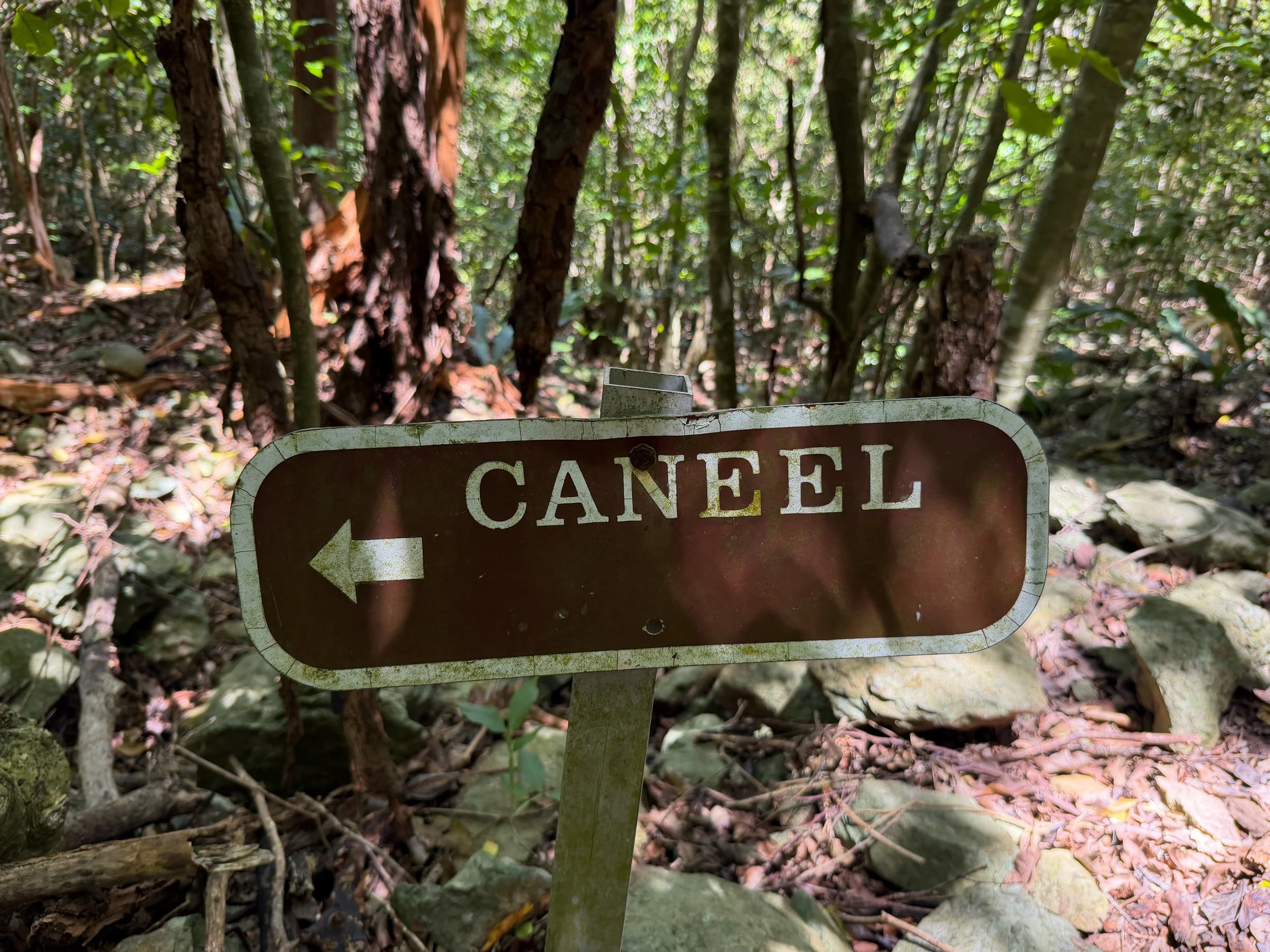 Caneel Hill Trail Virgin Islands National Park