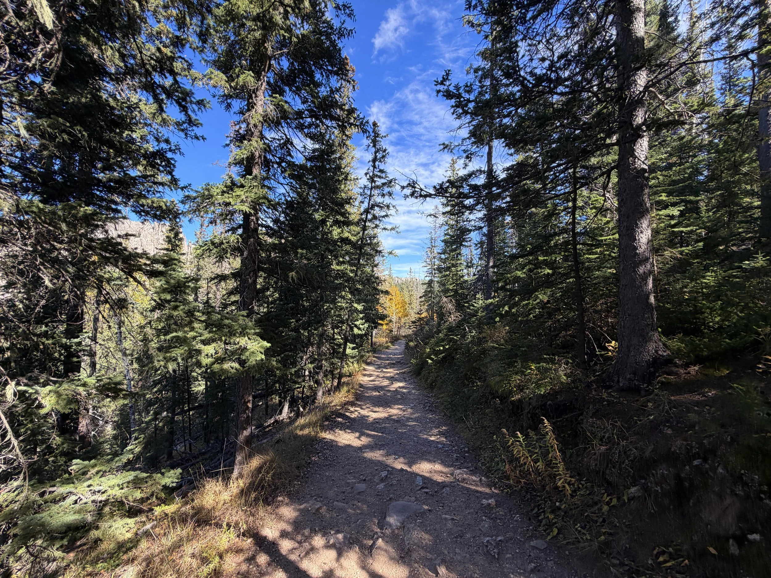 Black Elk Peak Trail Custer State Park Black Hills South Dakota