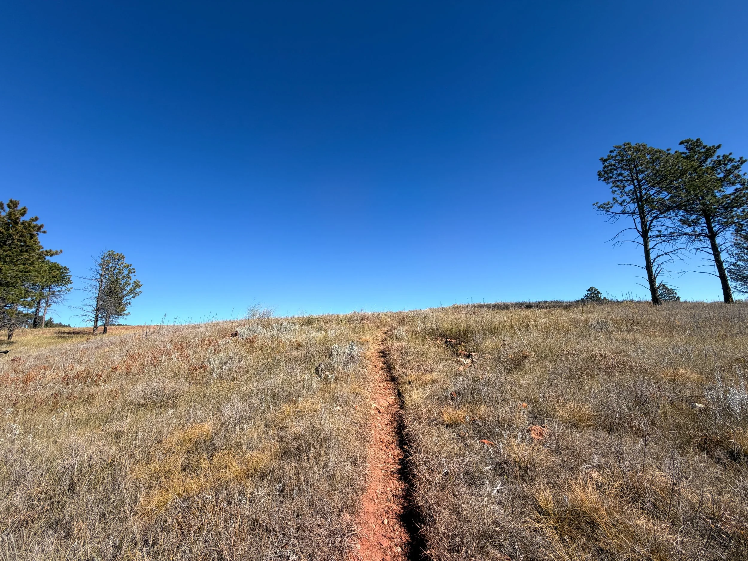 Elk Mountain Trail Wind Cave National Park South Dakota