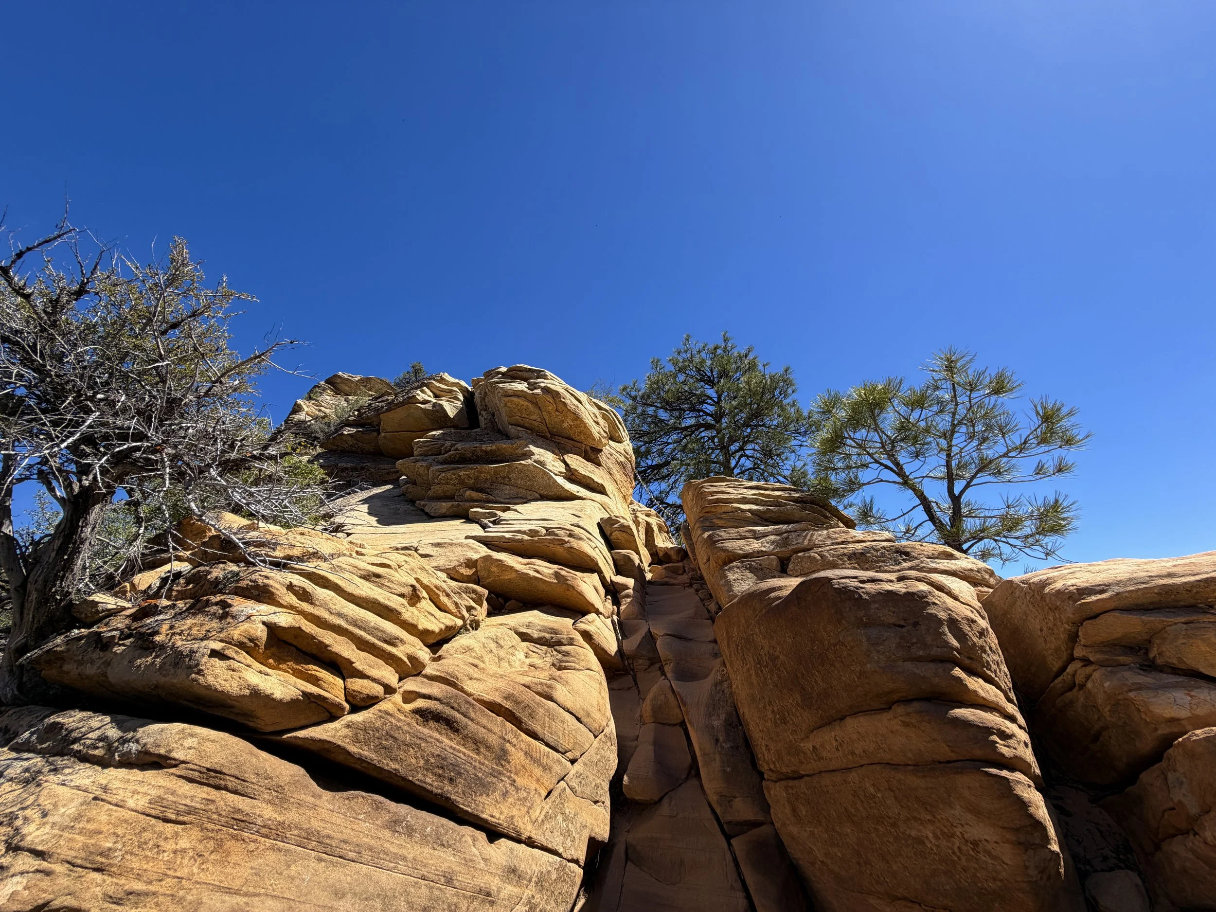 Angels Landing Trail Chains Zion National Park Utah