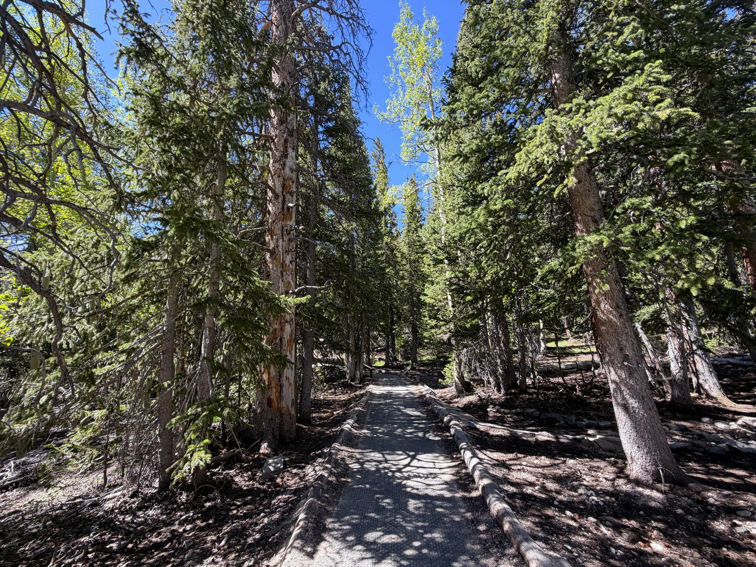 Alpine Lakes Loop Trail Great Basin National Park Nevada