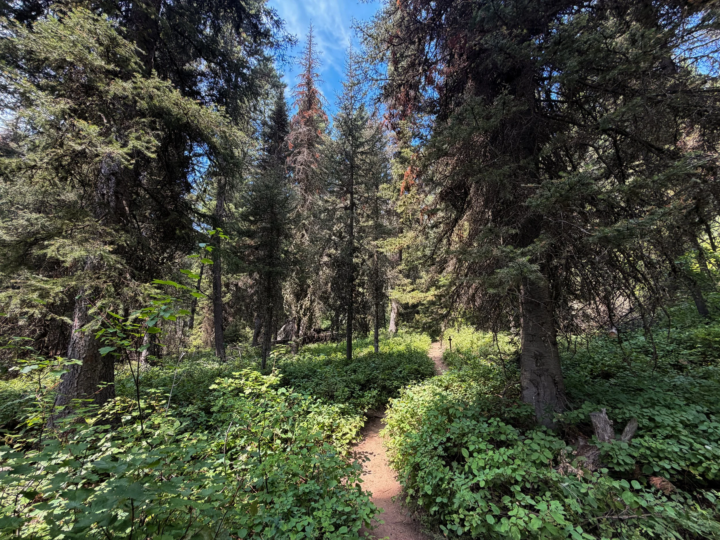 Phelps Lake Loop Trail Grand Teton National Park Wyoming