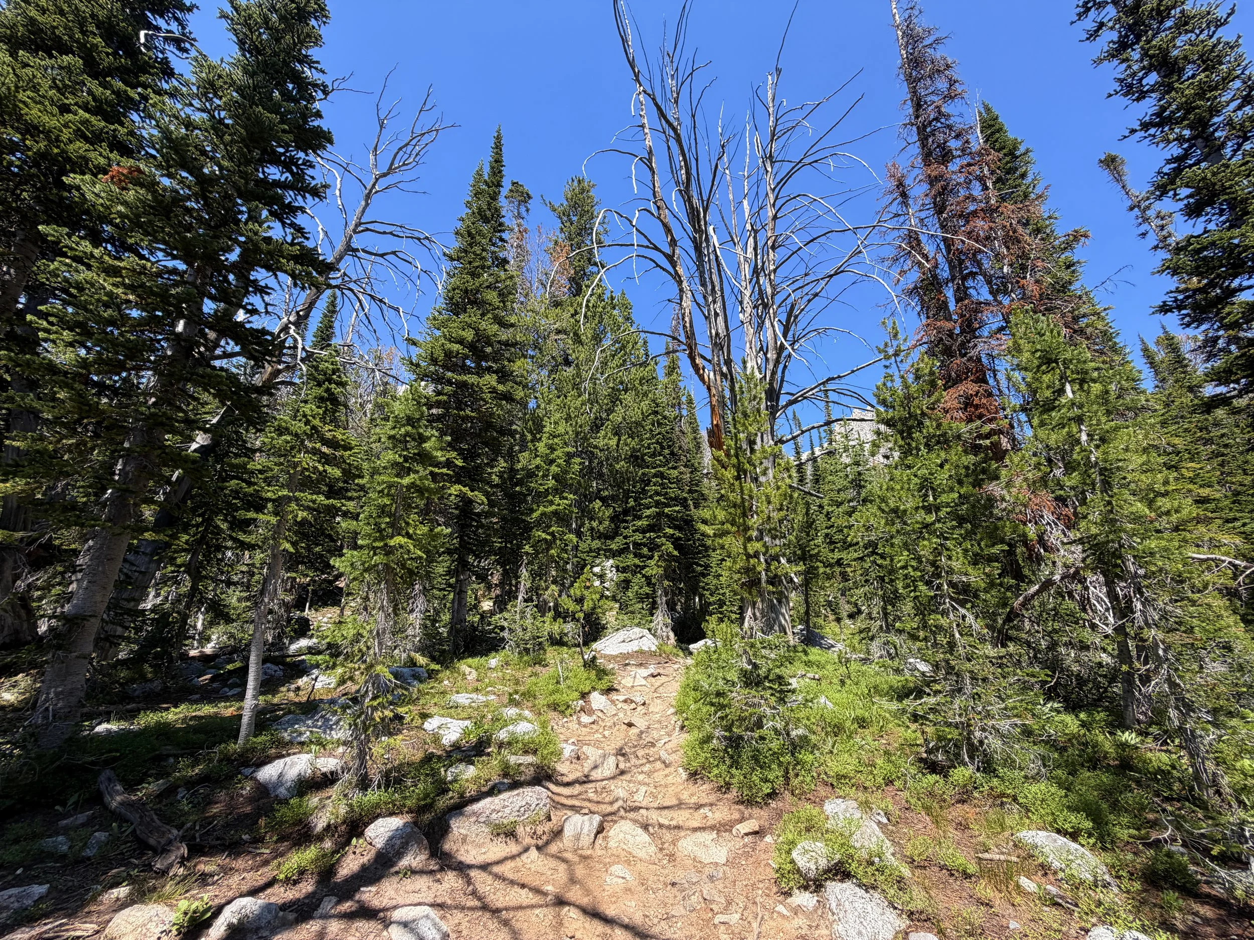 Surprise & Amphitheater Lakes Trail Grand Teton National Park Wyoming