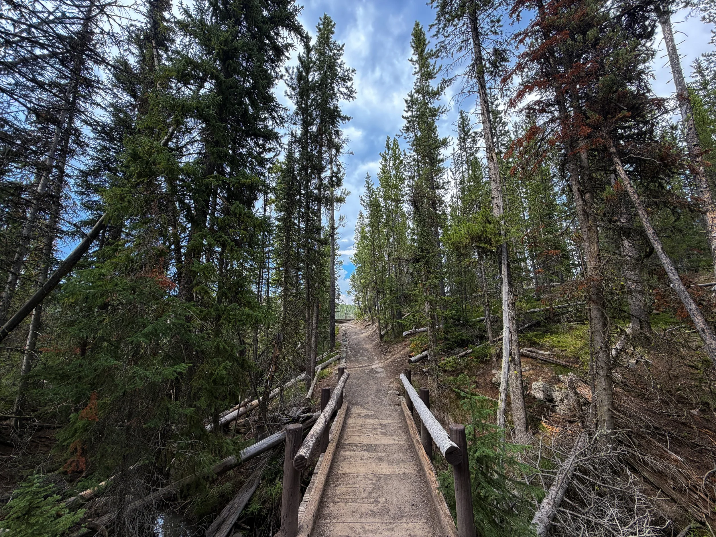 South Rim Trail Yellowstone National Park Wyoming
