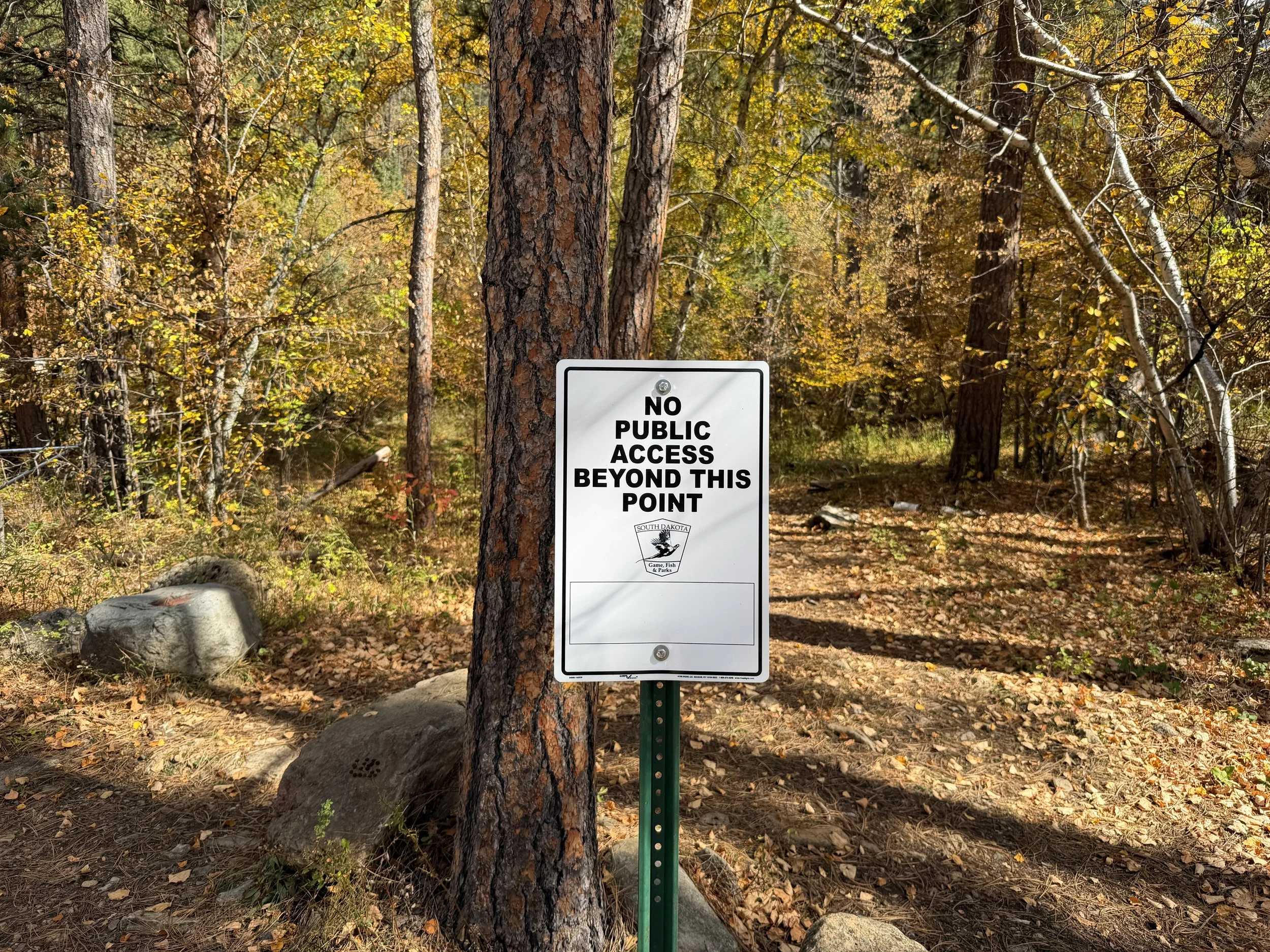 Devils Bathtub Trail Spearfish Canyon Black Hills South Dakota