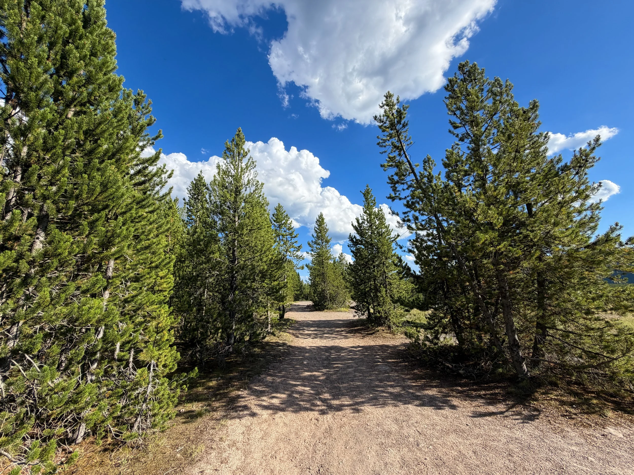 Artemisia Trailhead to the Morning Glory Pool Yellowstone National Park Wyoming