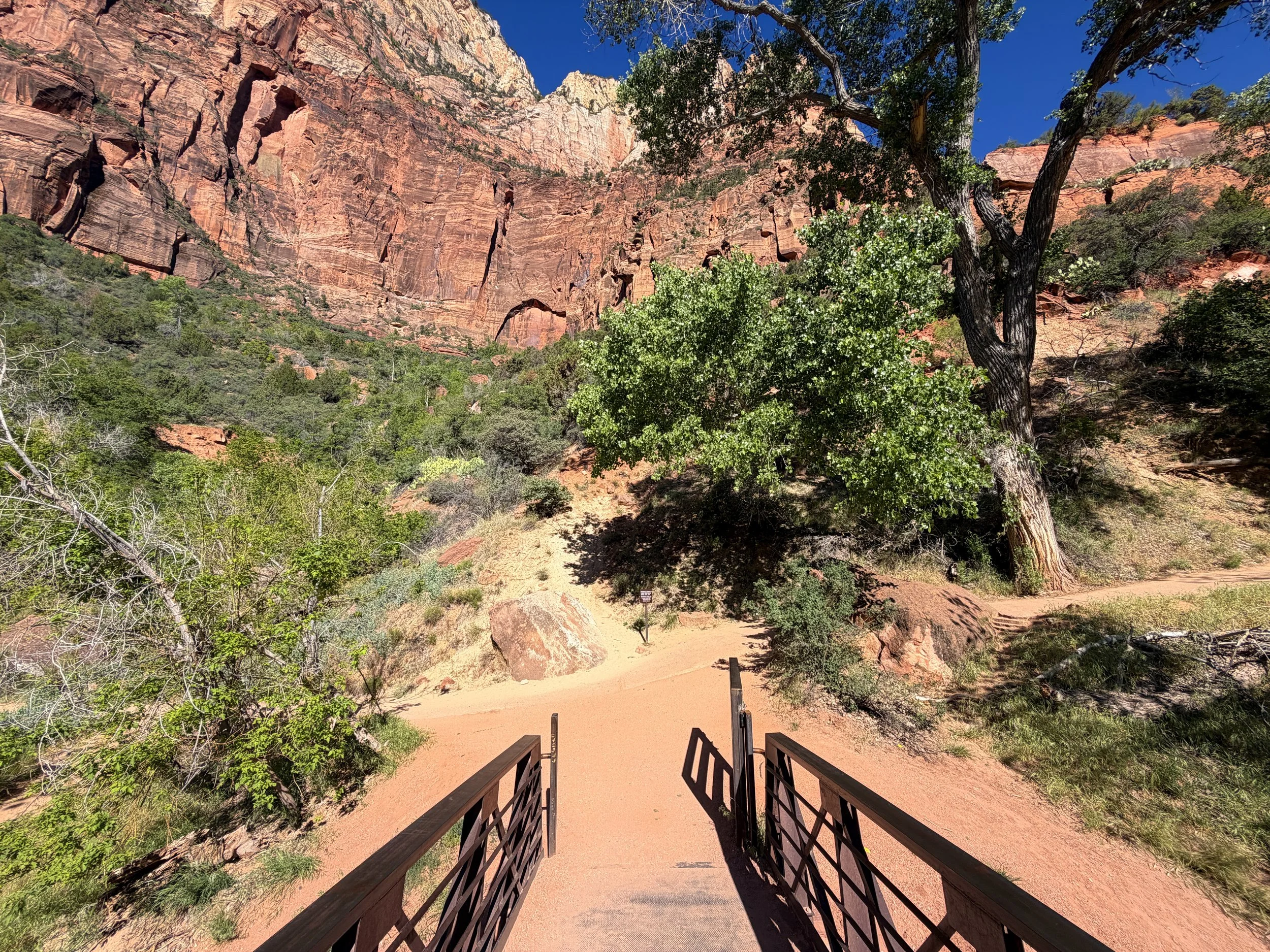 Emerald Pools Trail Zion National Park Utah