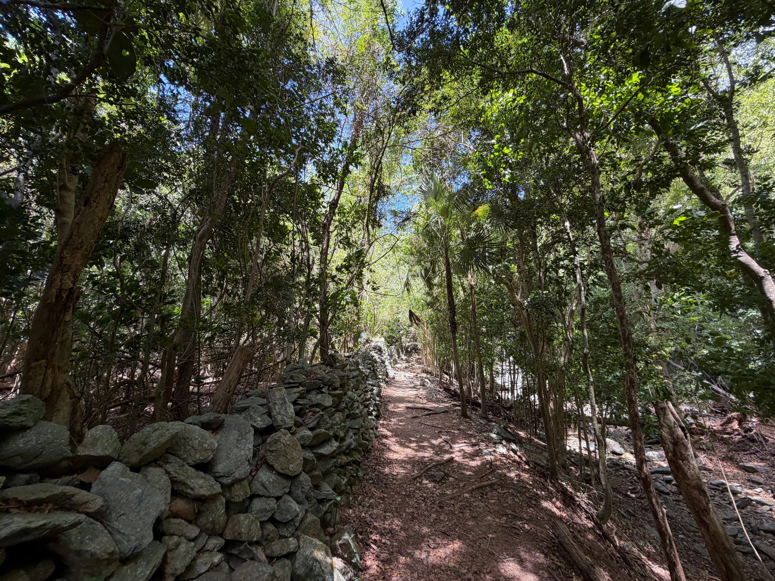 Petroglyphs Trail Virgin Islands National Park