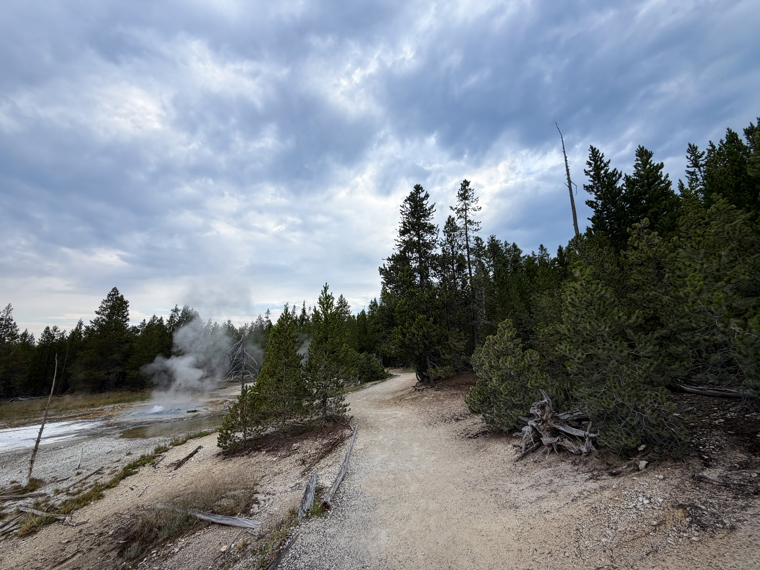 Norris Geyser Basin Trail Yellowstone National Park Wyoming