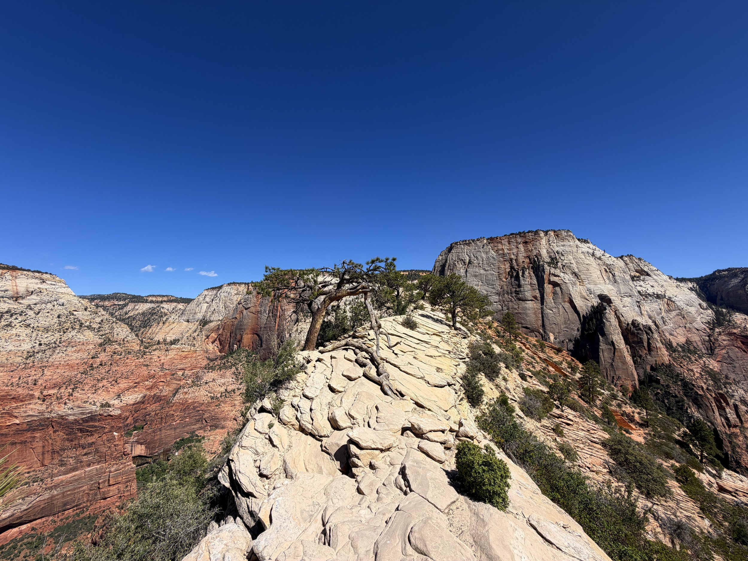 Angels Landing Trail Summit Zion National Park Utah