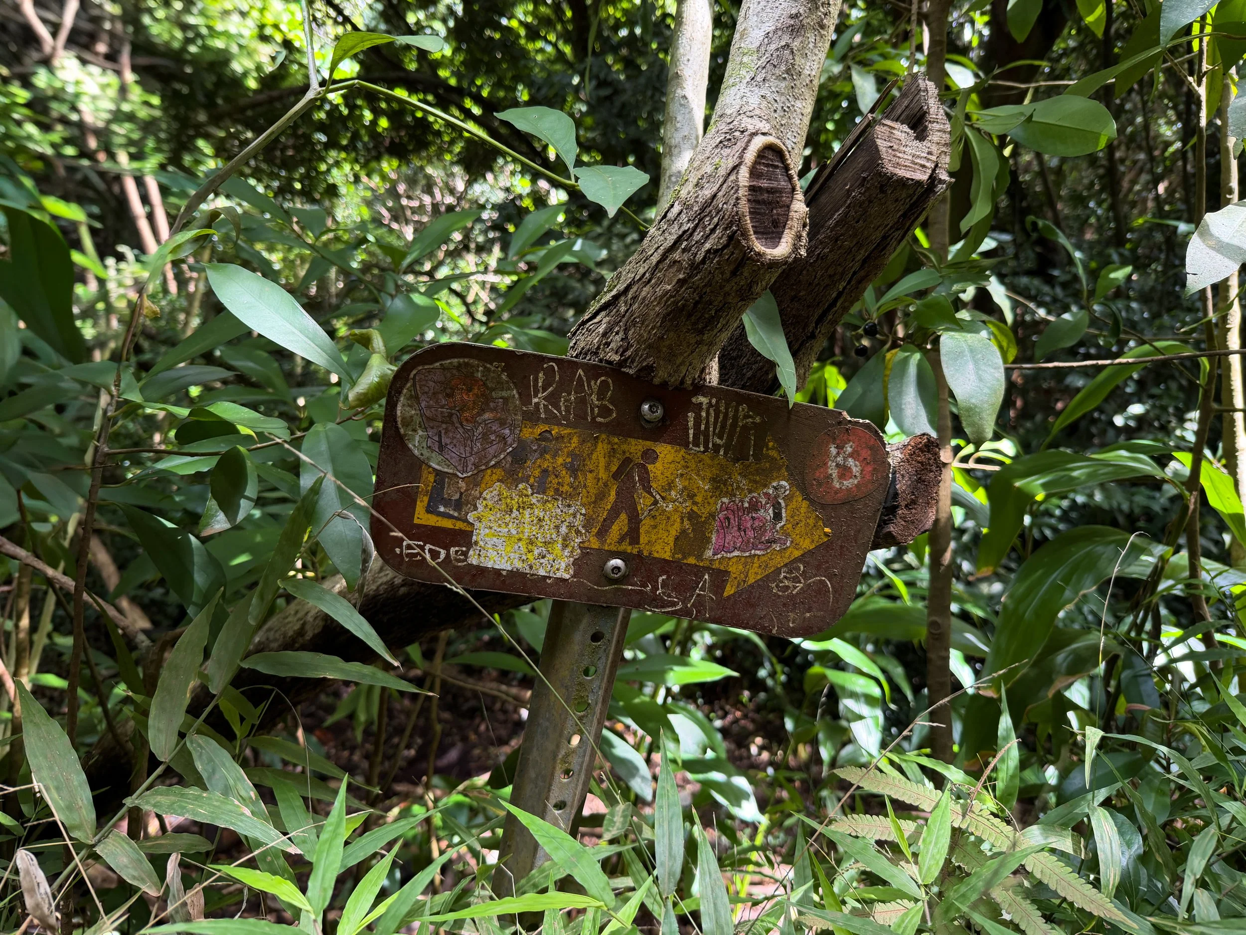 Lulumahu Falls Trail Oahu Hawaii