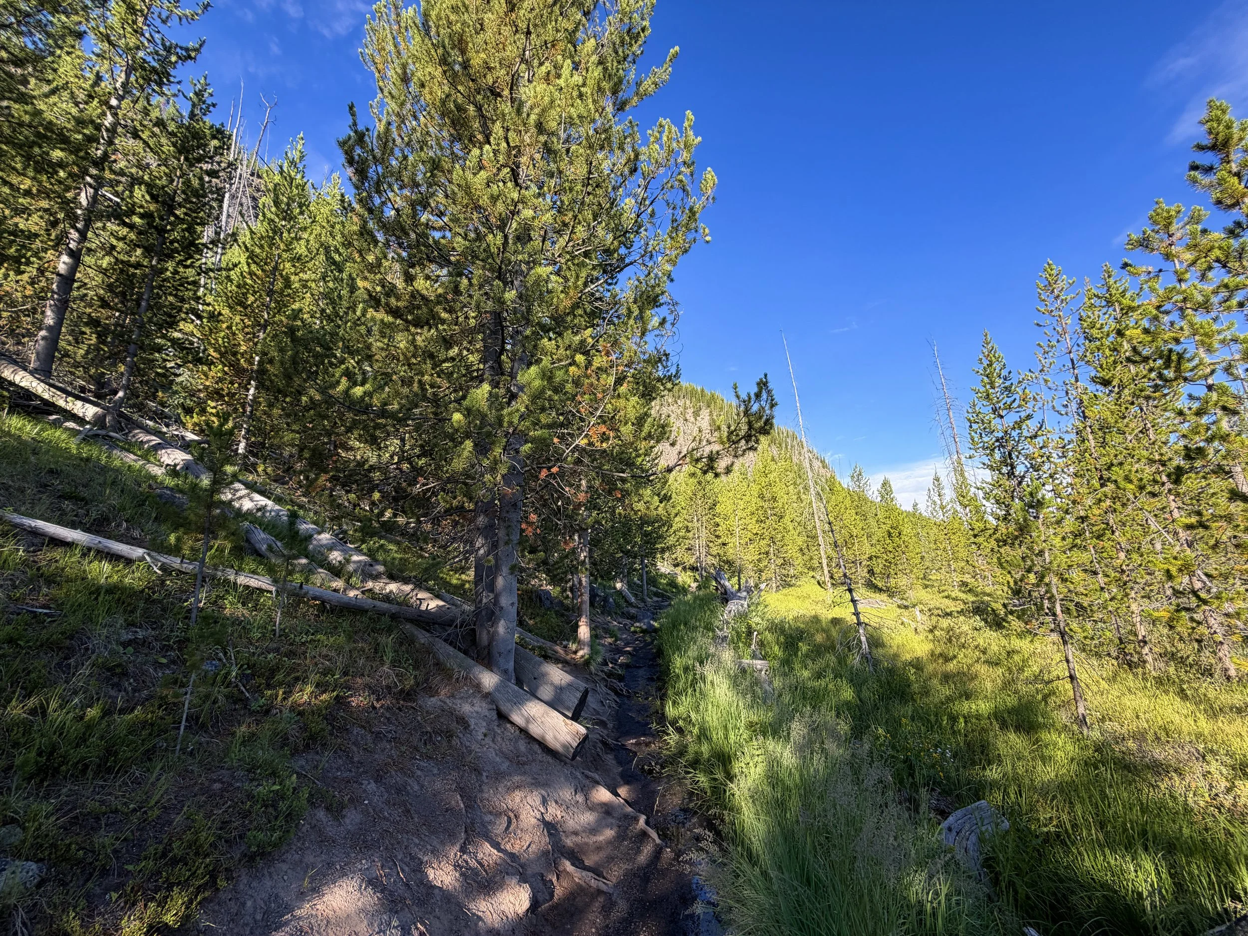 Fairy Falls Trail Yellowstone National Park Wyoming