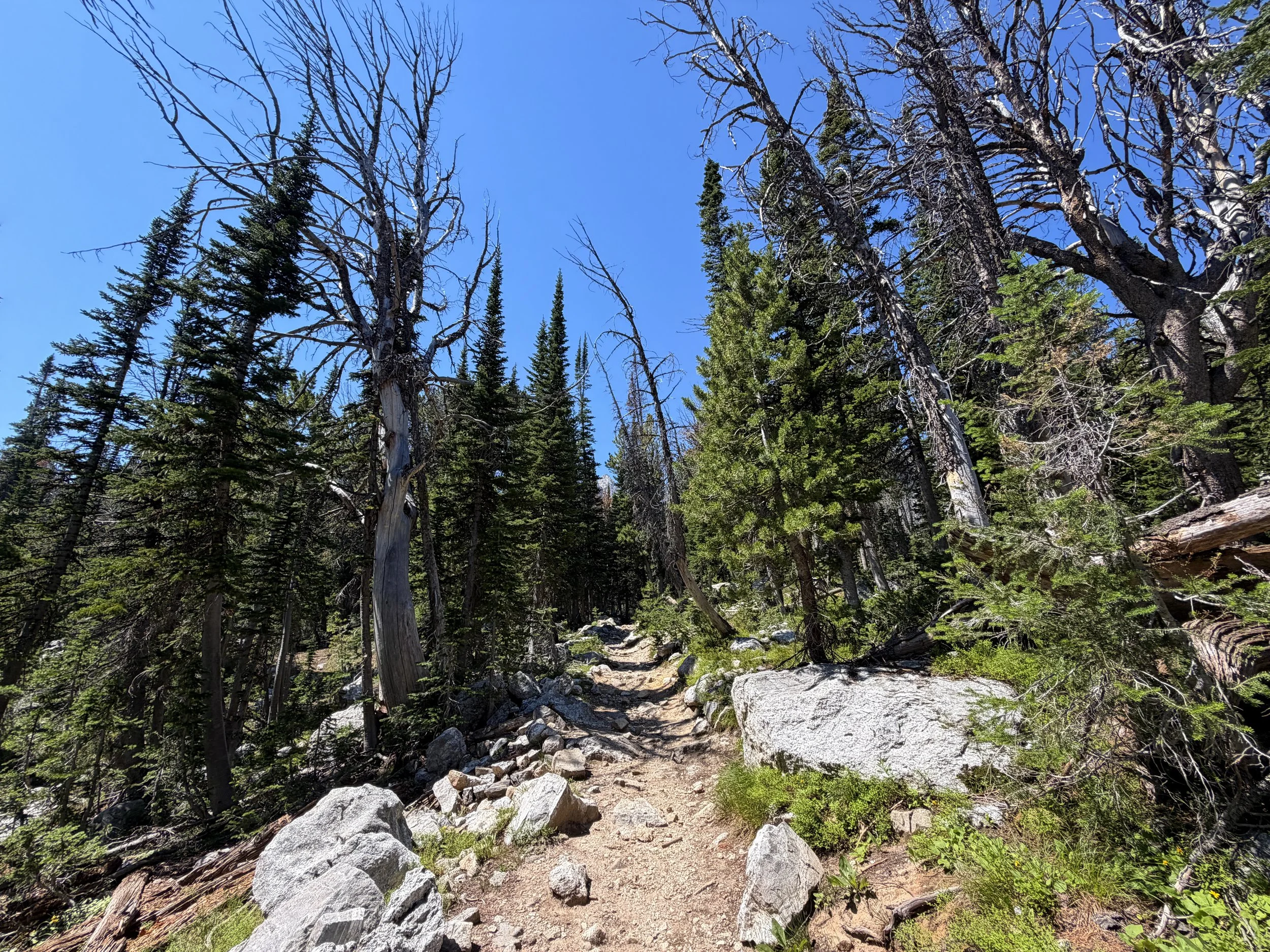 Surprise and Amphitheater Lakes Hike Grand Teton National Park Wyoming