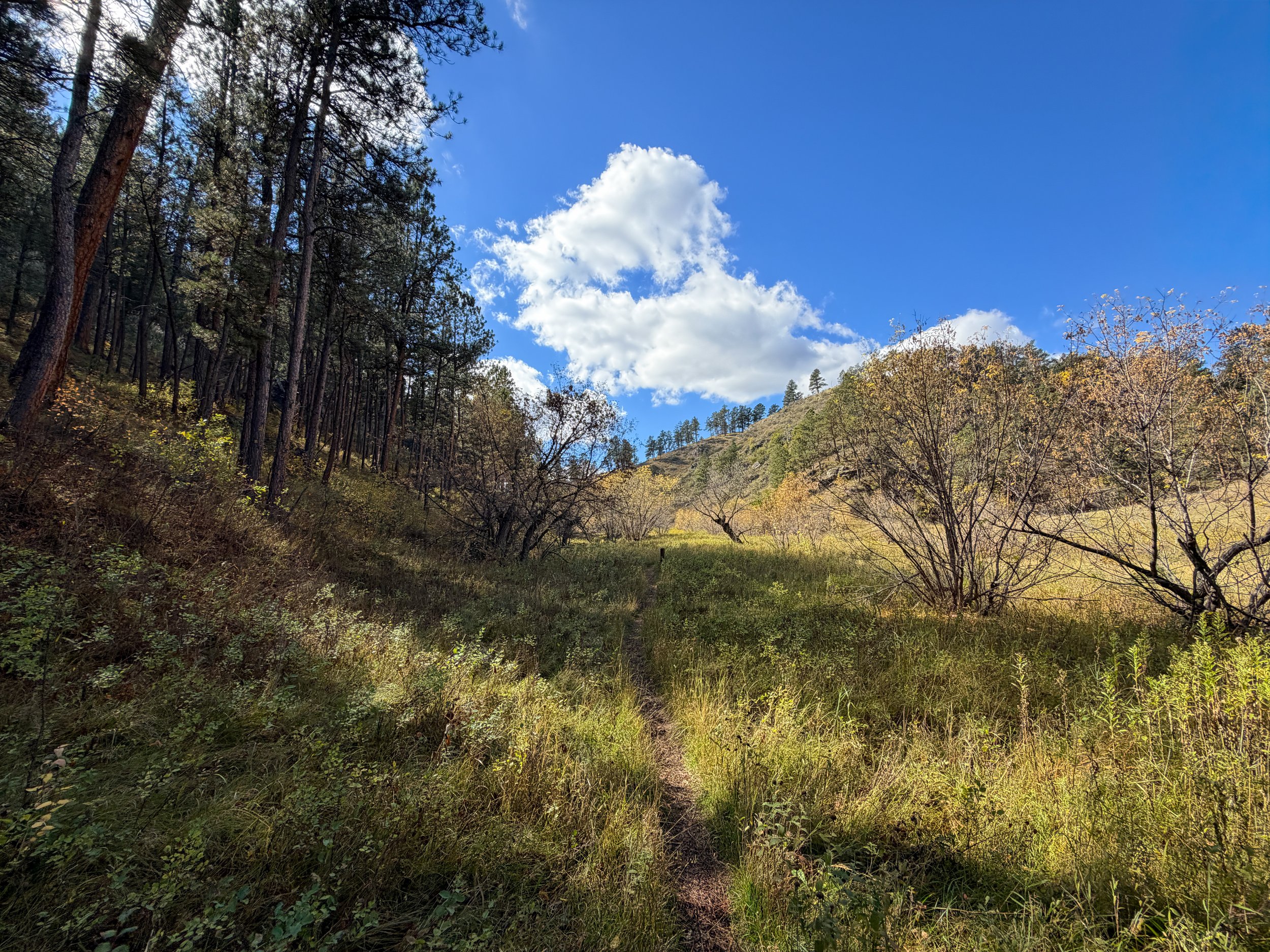Lookout Point Loop Trail Wind Cave National Park South Dakota