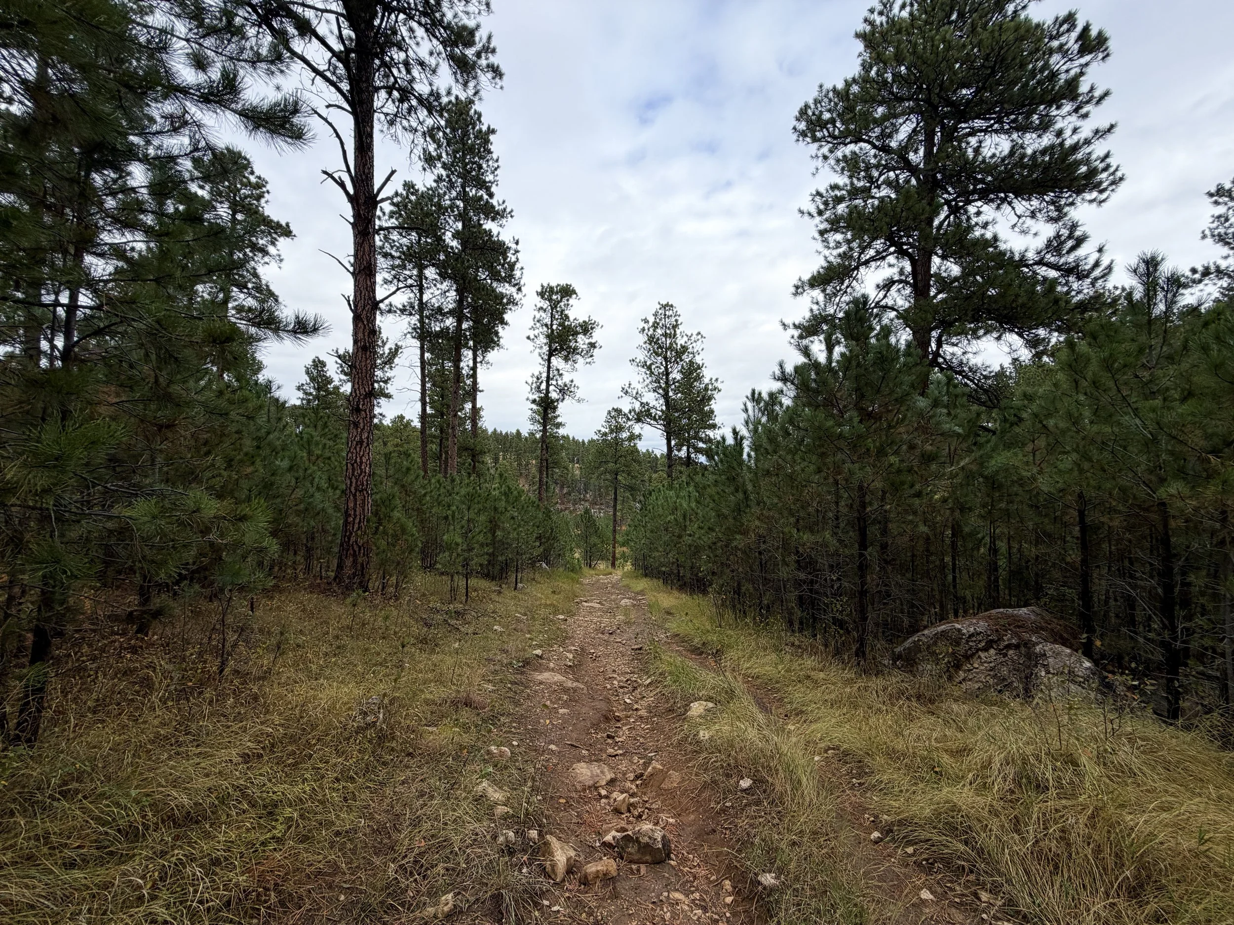 Buzzards Roost Trail Black Hills Rapid City South Dakota