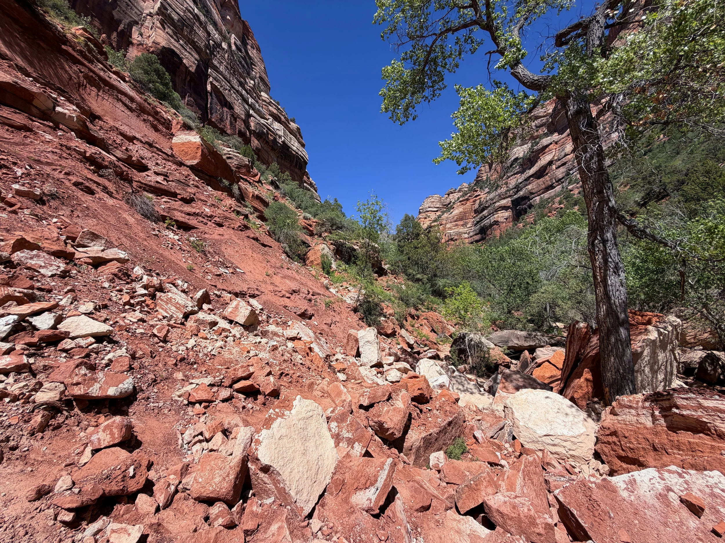 Subway Trail Zion National Park Utah