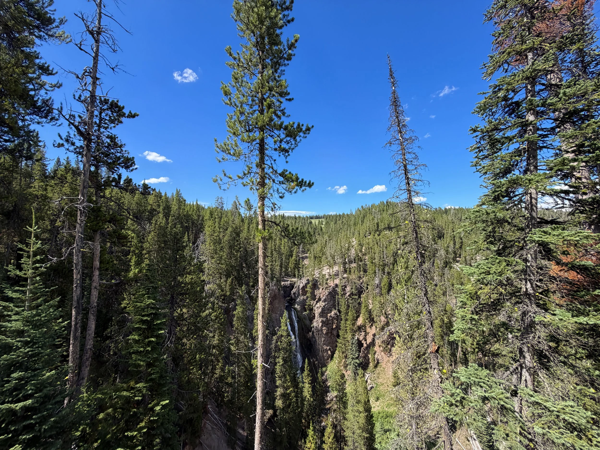 Crystal Falls Overlook North Rim Trail Yellowstone National Park Wyoming