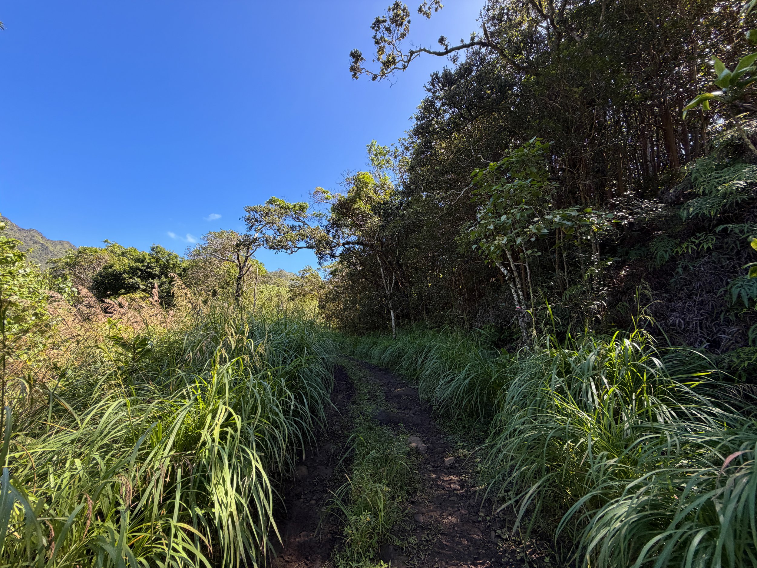 Kulanaahane Trail Moanalua Valley Road Oahu Hawaii