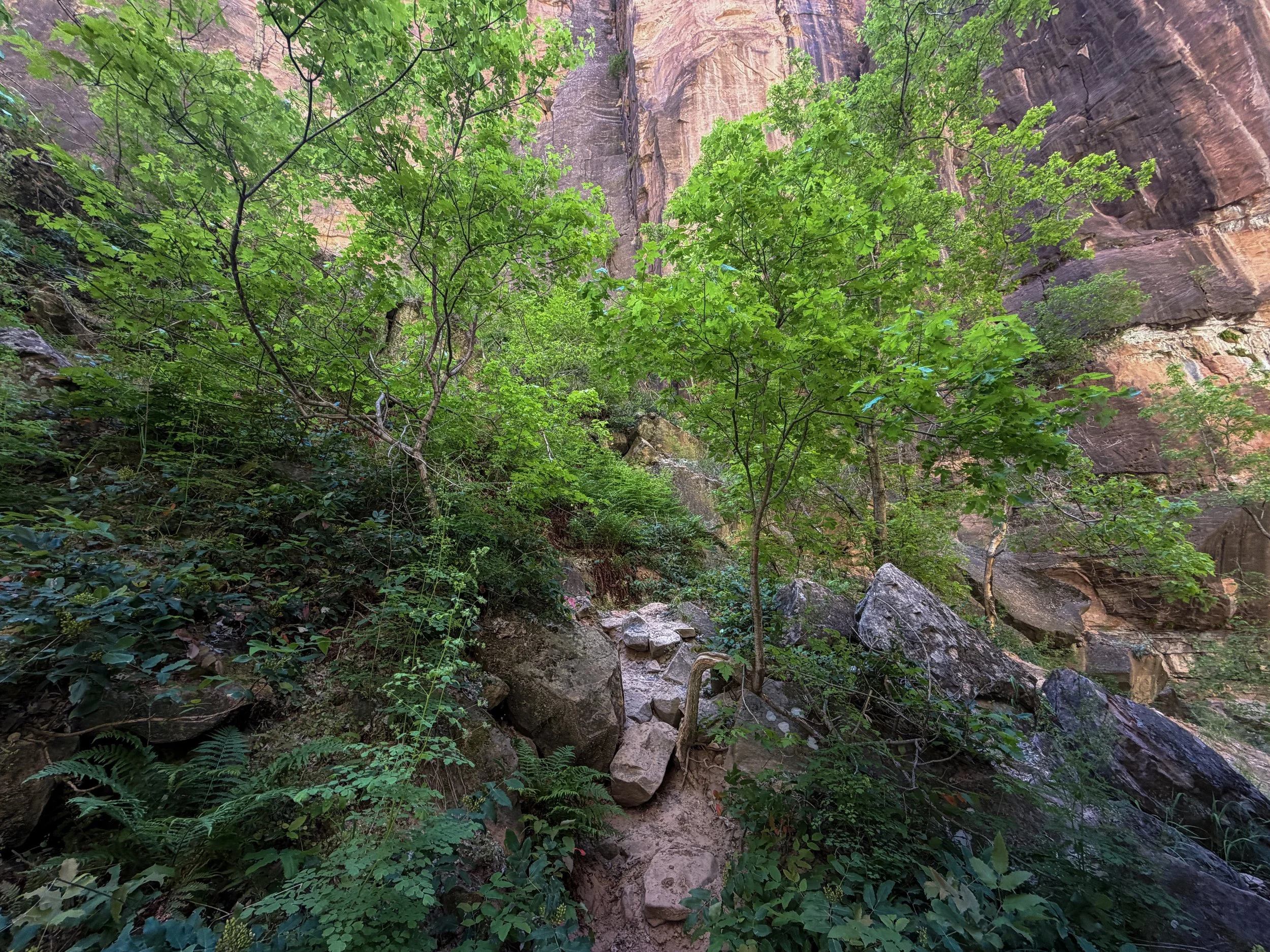 Narrows Bottom-Up Hike to Big Springs Zion National Park Utah