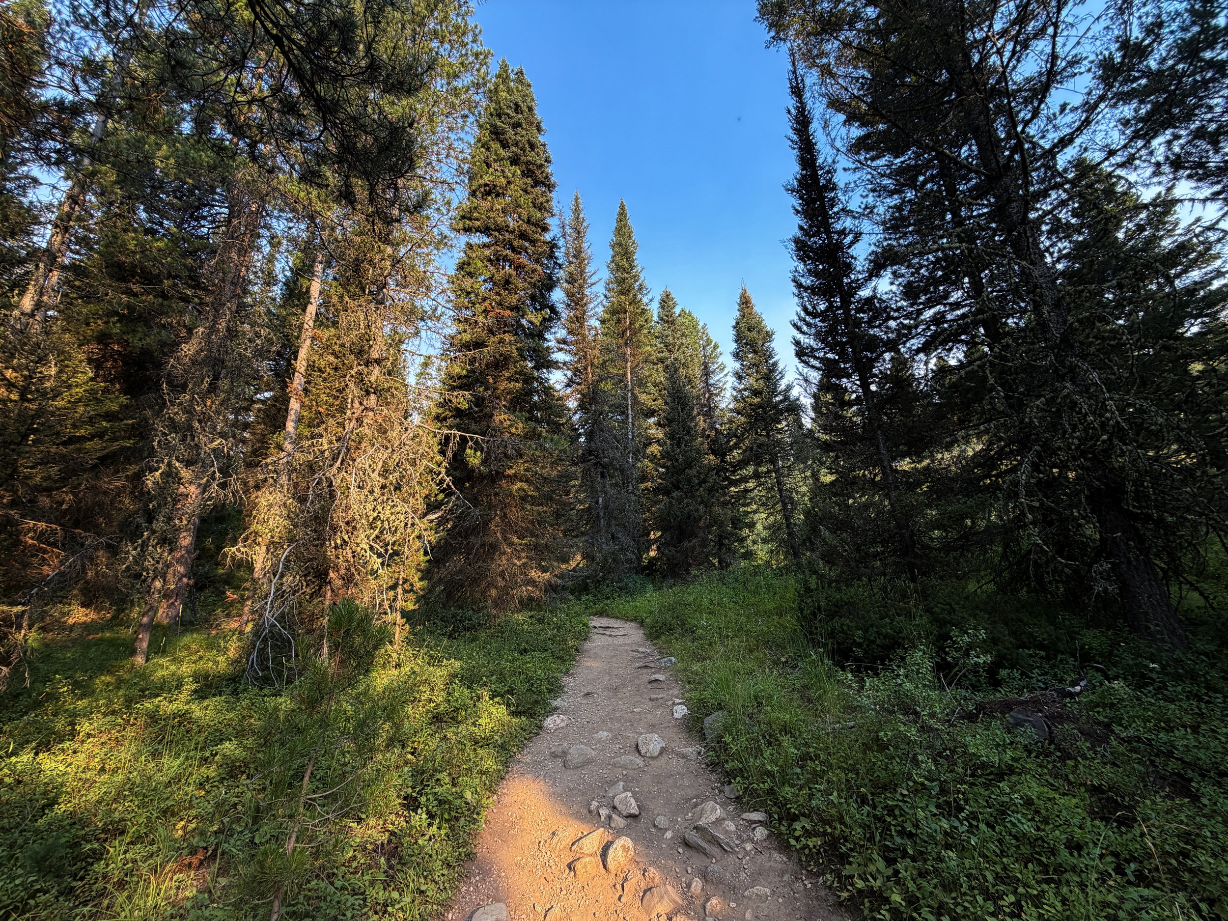 Boulder Ridge Loop Trail Grand Teton National Park Wyoming