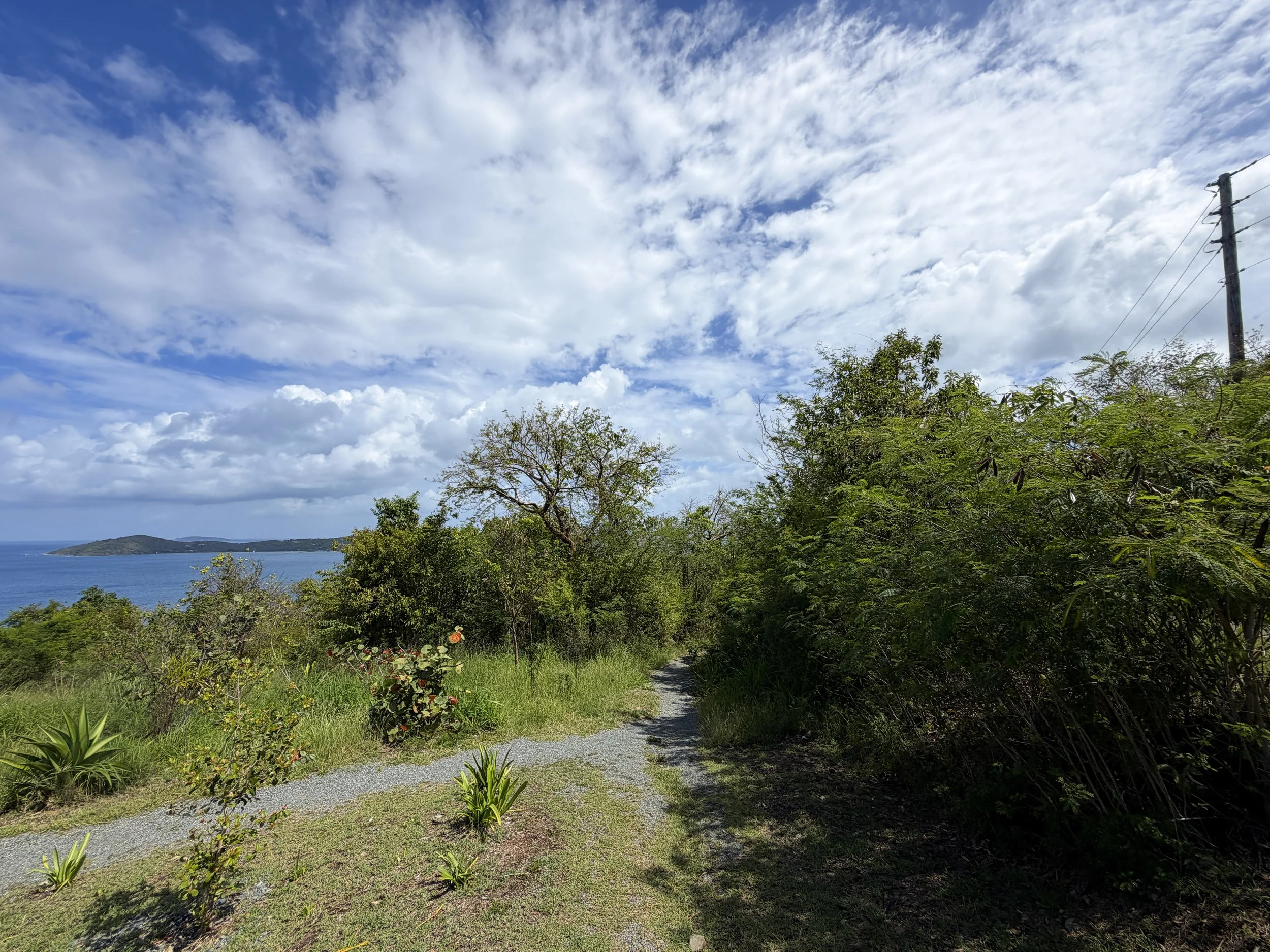 Lind Point Spur Trailhead Virgin Islands National Park