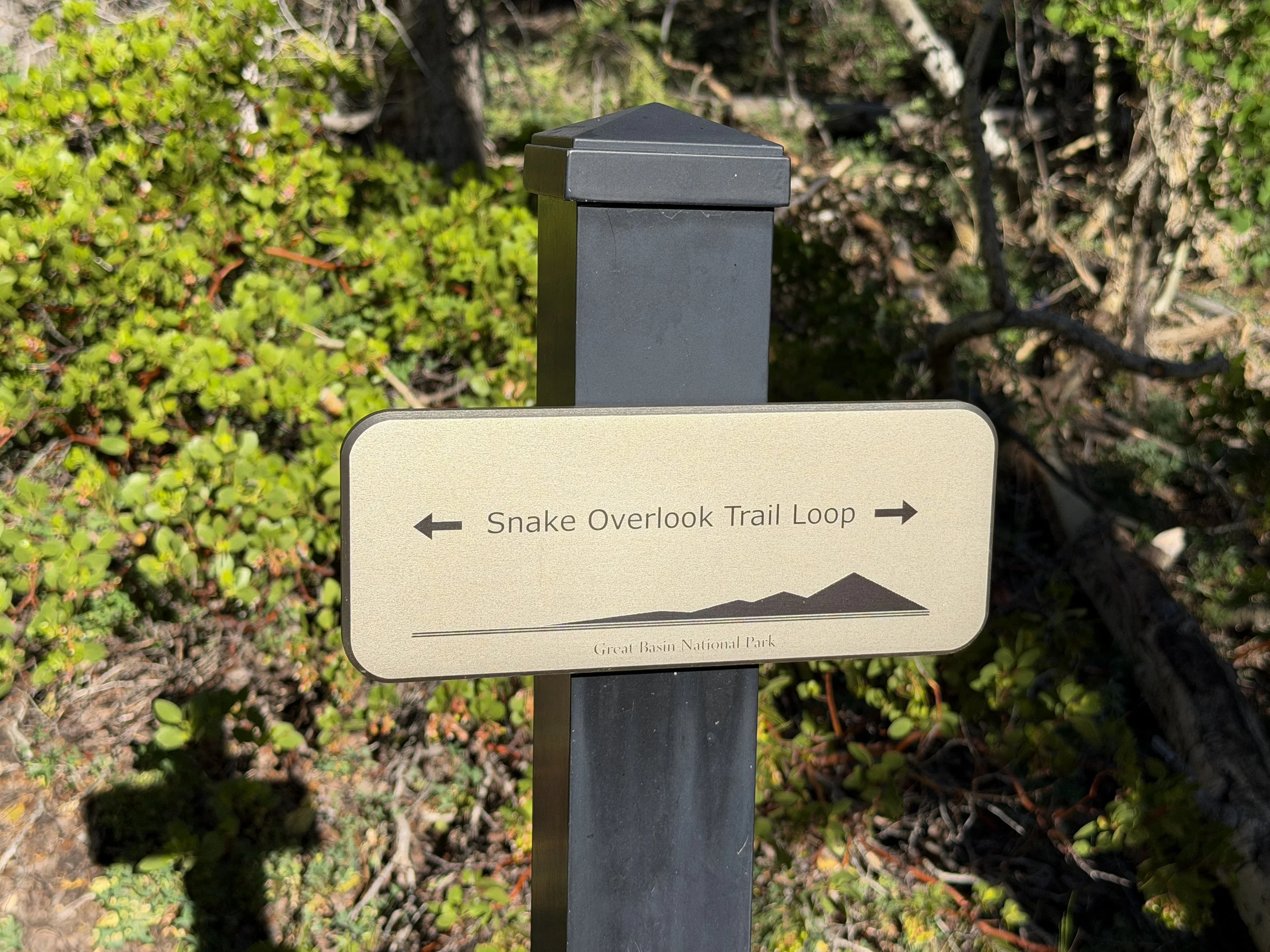 Snake Creek Overlook Loop Trail Great Basin National Park Nevada