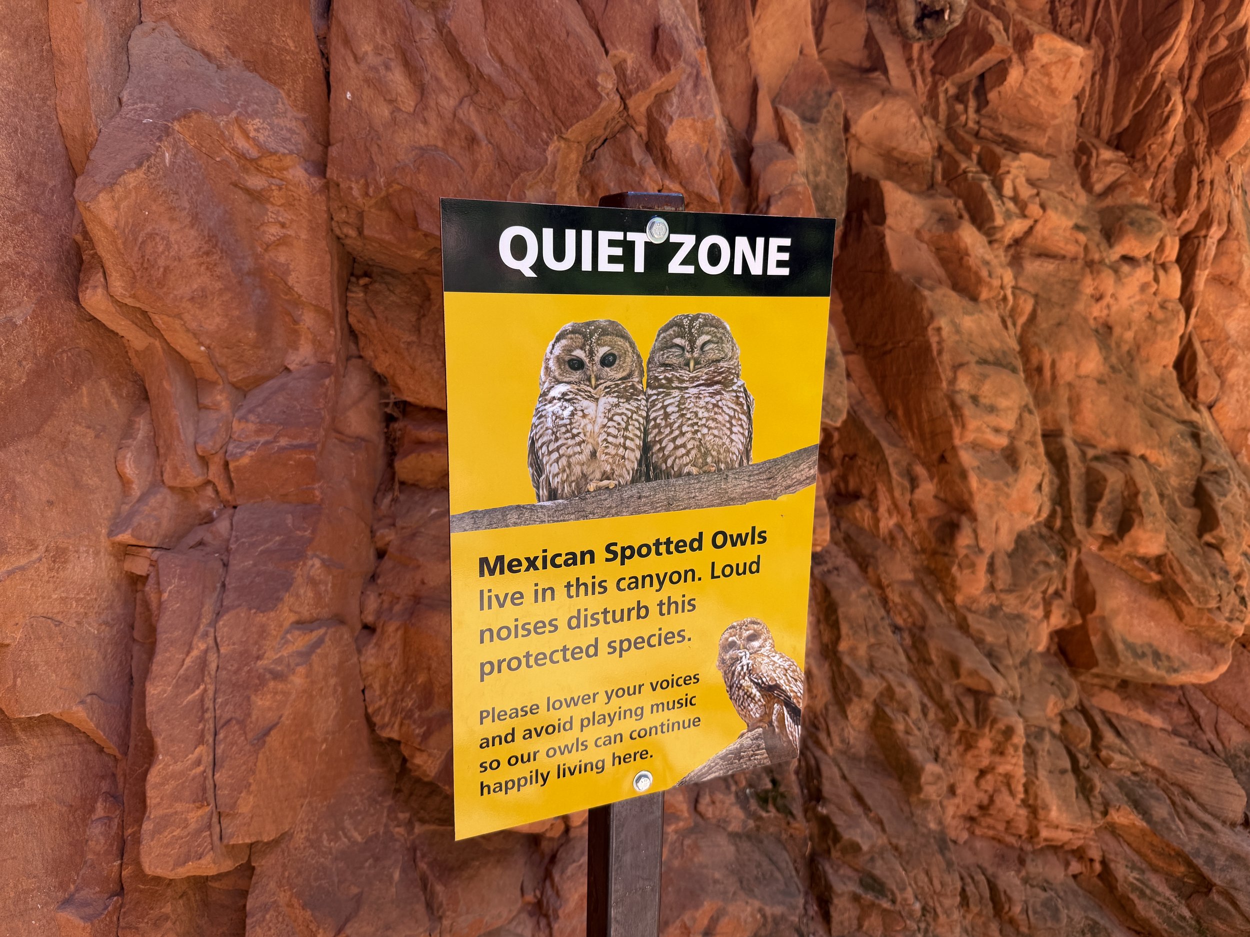 Angels Landing Trail Owls Zion National Park Utah