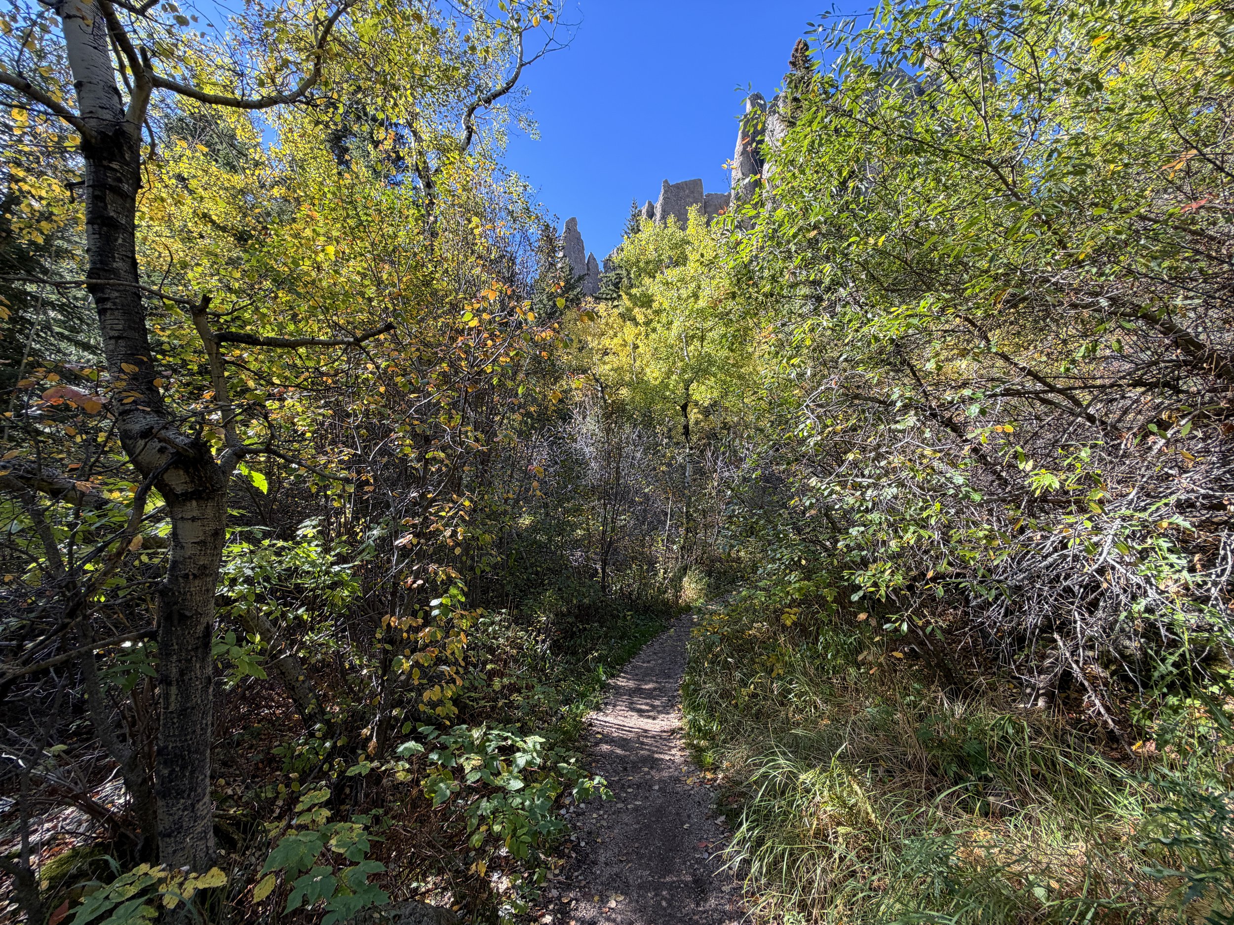 Cathedral Spires Hike Custer State Park Black Hills South Dakota