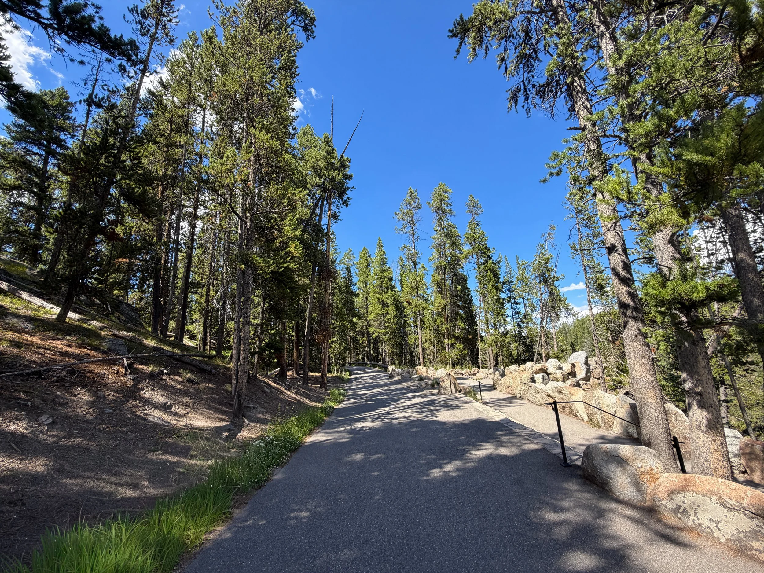 North Rim Trail Yellowstone National Park Wyoming
