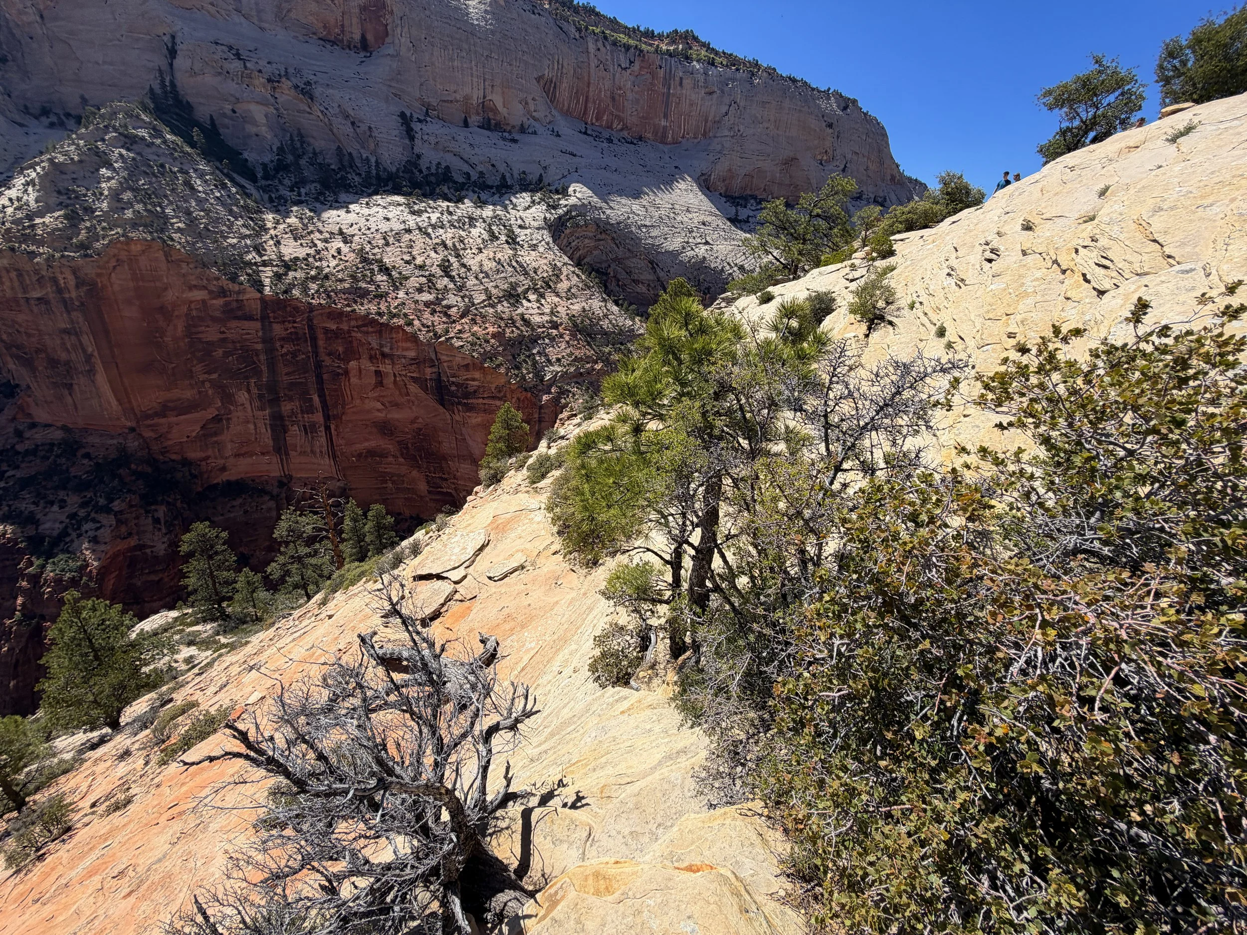 Angels Landing Zion National Park Utah