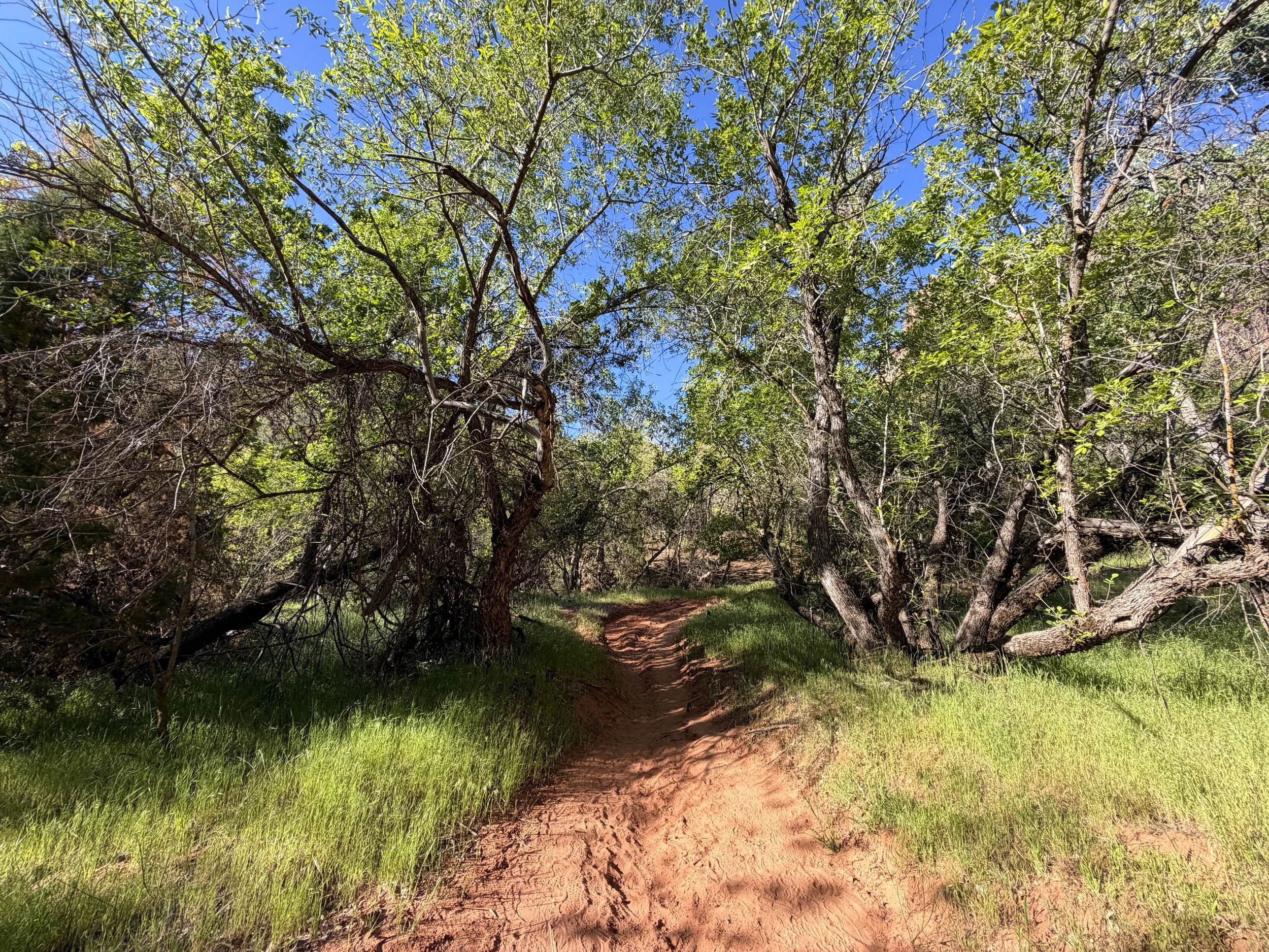 Sand Bench Trail Zion National Park Utah
