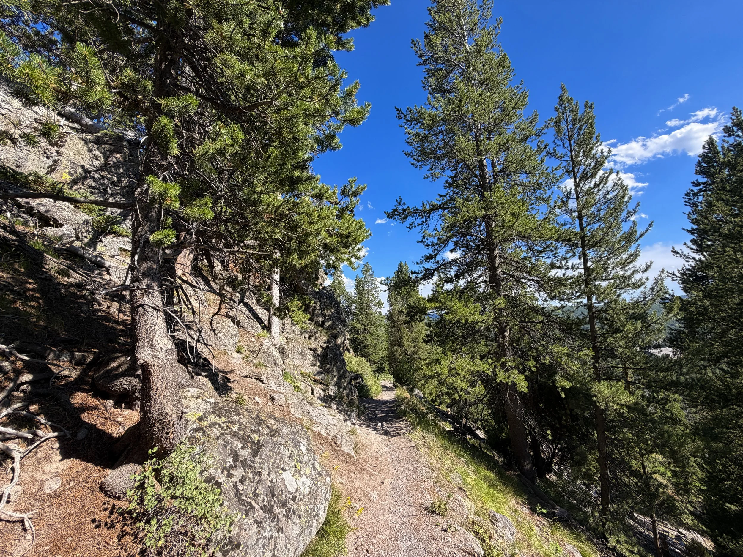 Observation Point Loop Trail Yellowstone National Park Wyoming