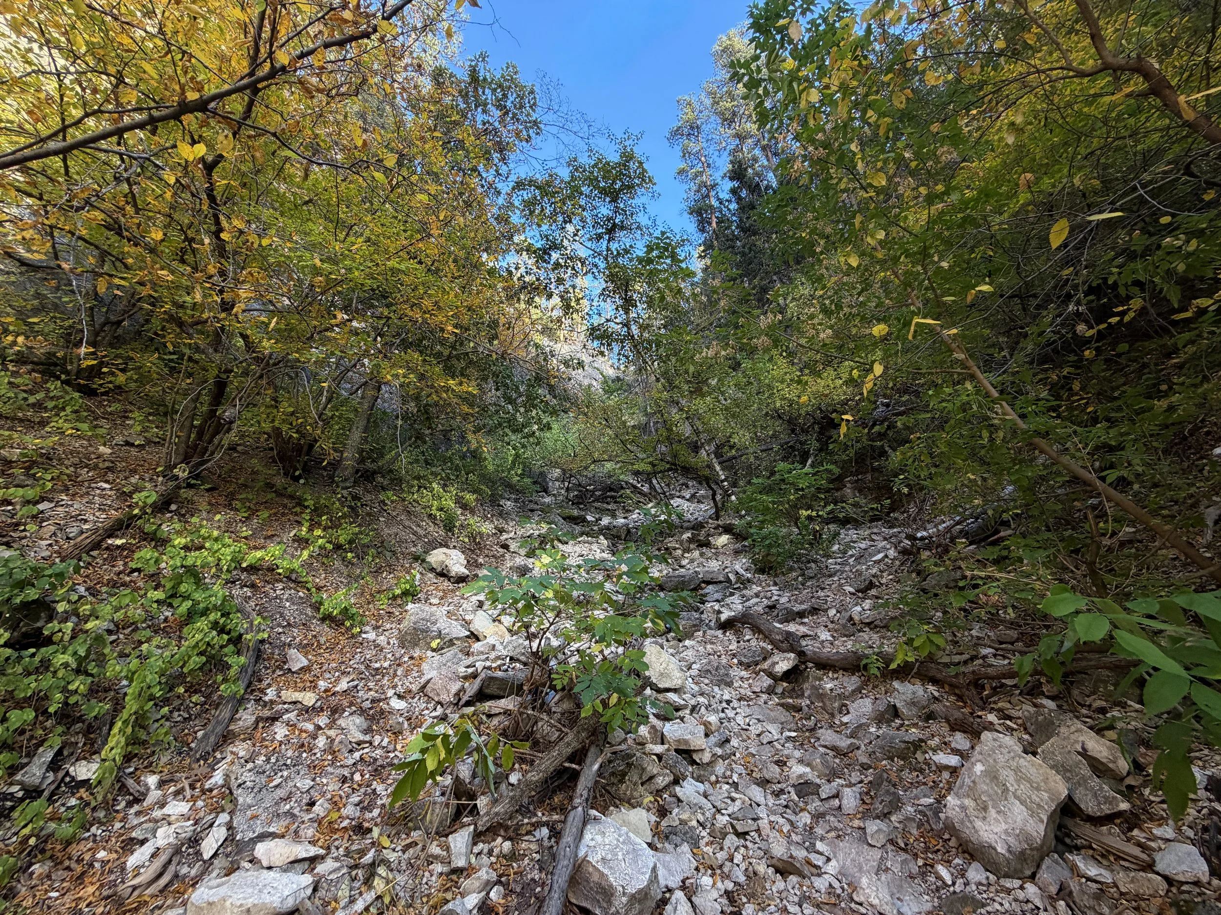Community Caves Trail Spearfish Canyon Black Hills South Dakota