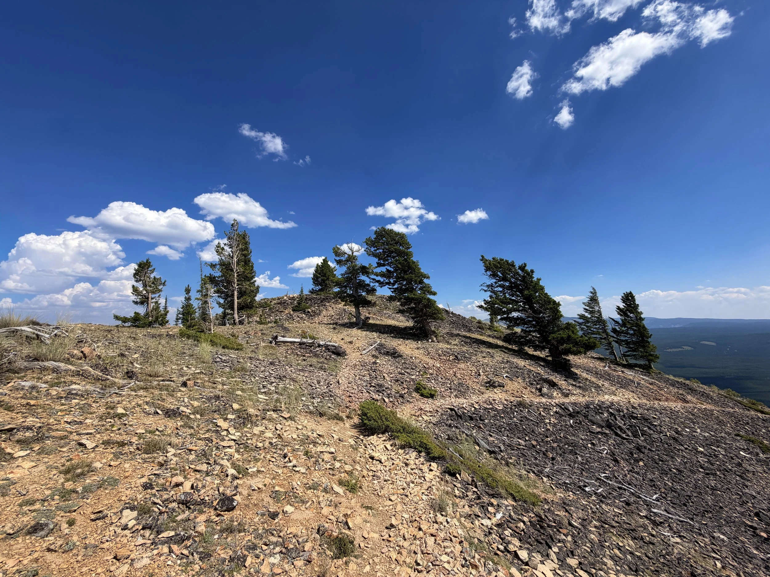 Bunsen Peak Loop Trail Yellowstone National Park Wyoming