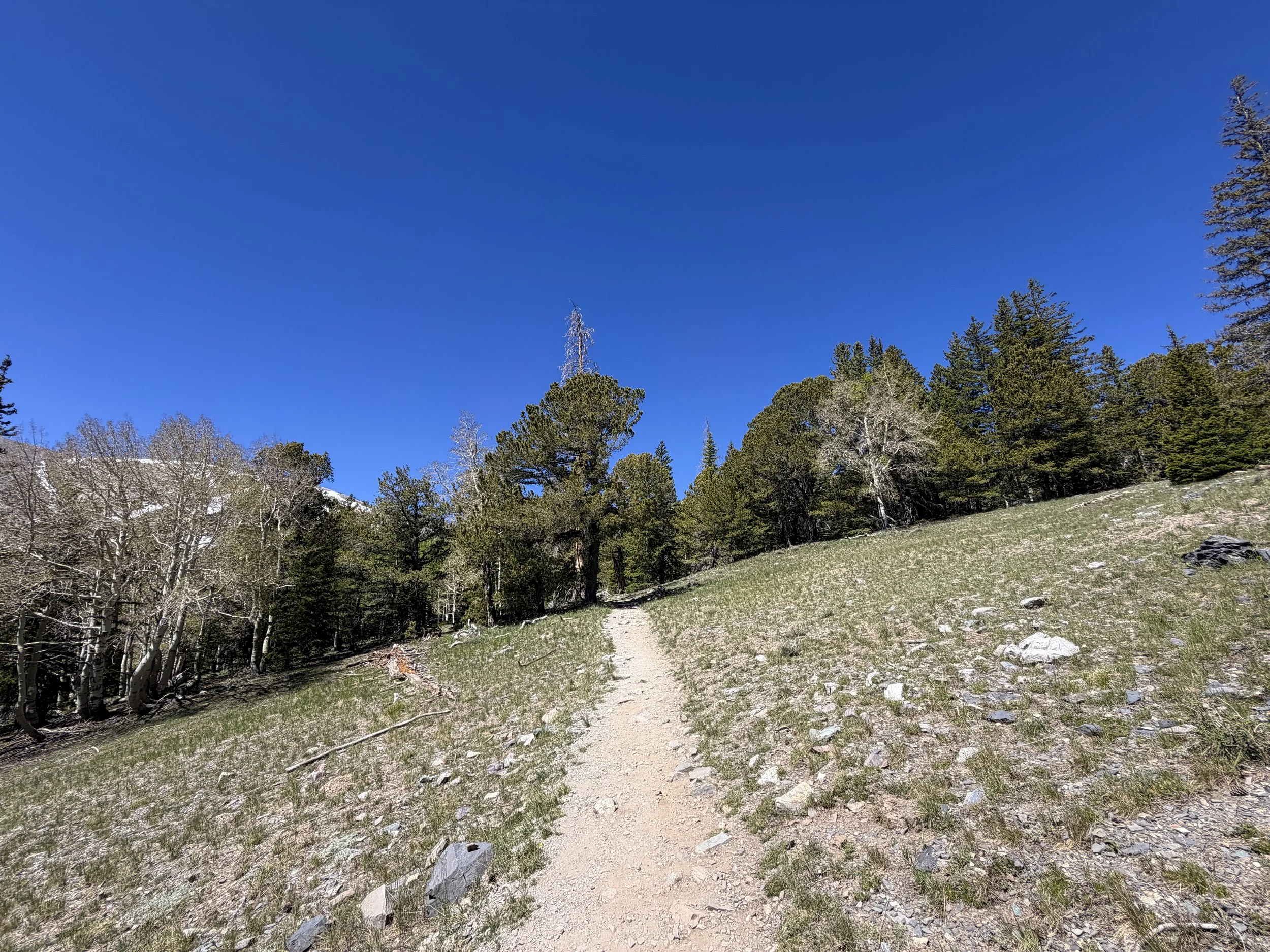 Alpine Lakes Hike Great Basin National Park Nevada