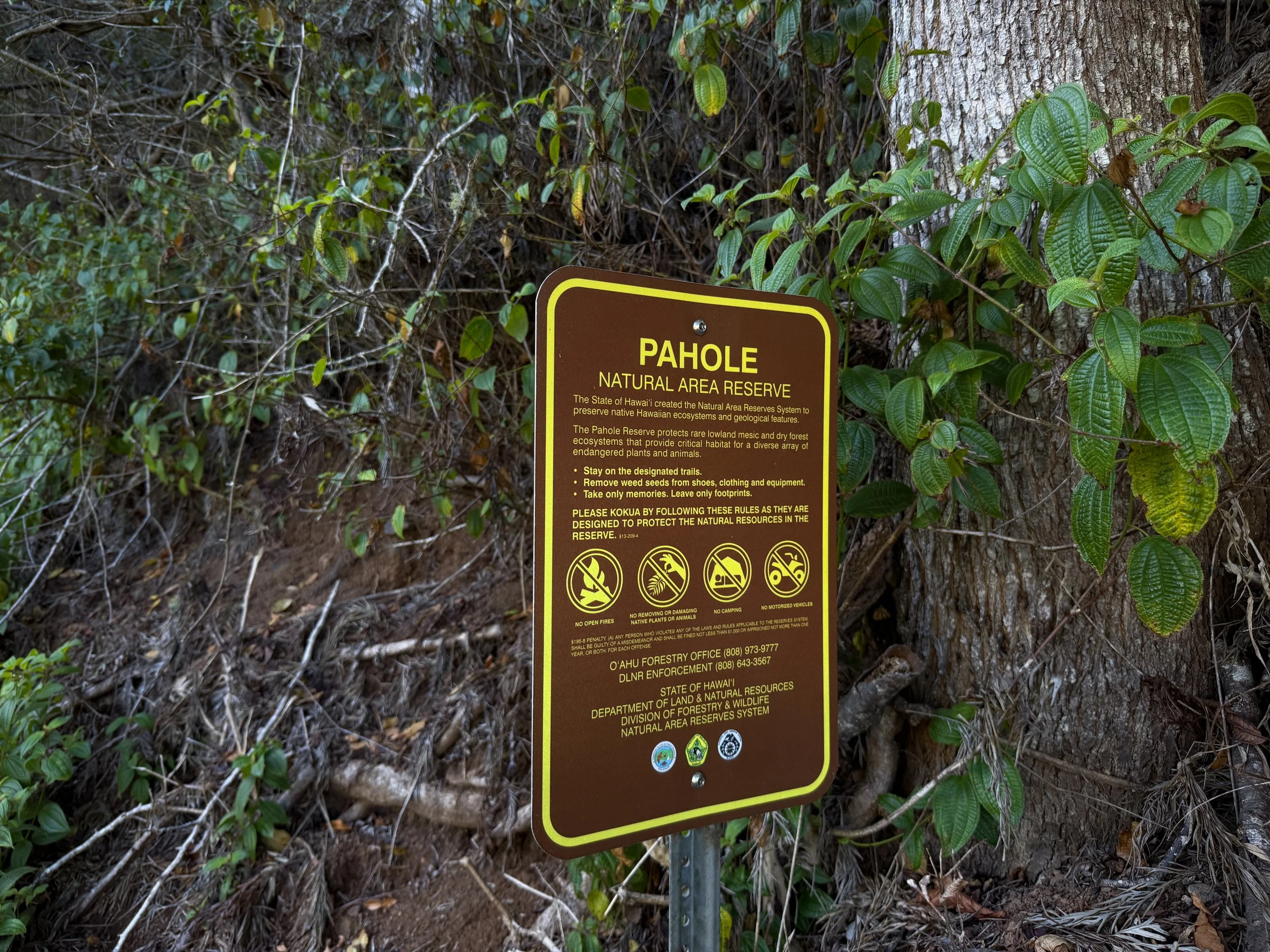 Mokuleia Trailhead Oahu Hawaii
