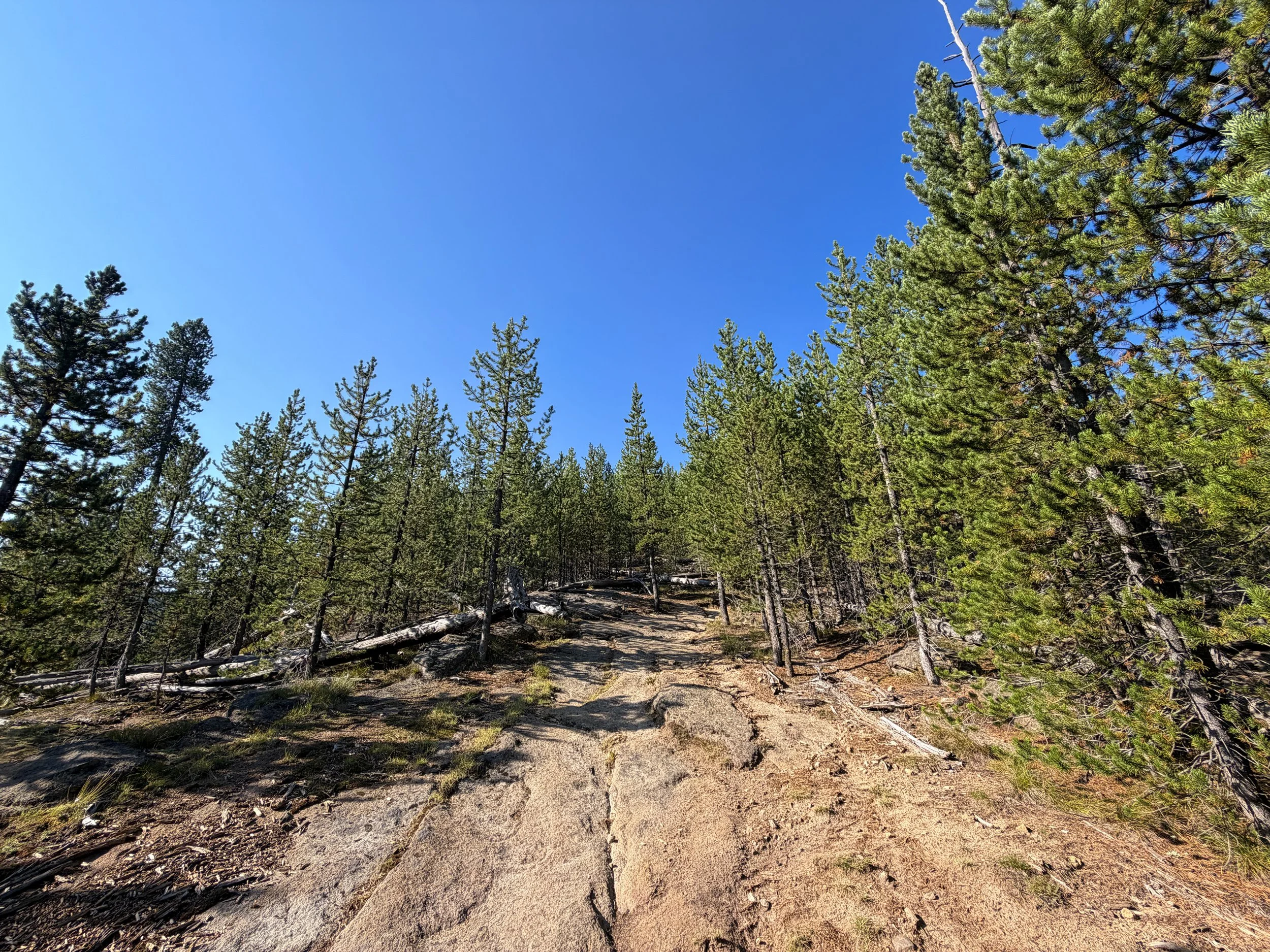 Monument Geyser Basin Hike Yellowstone National Park Wyoming