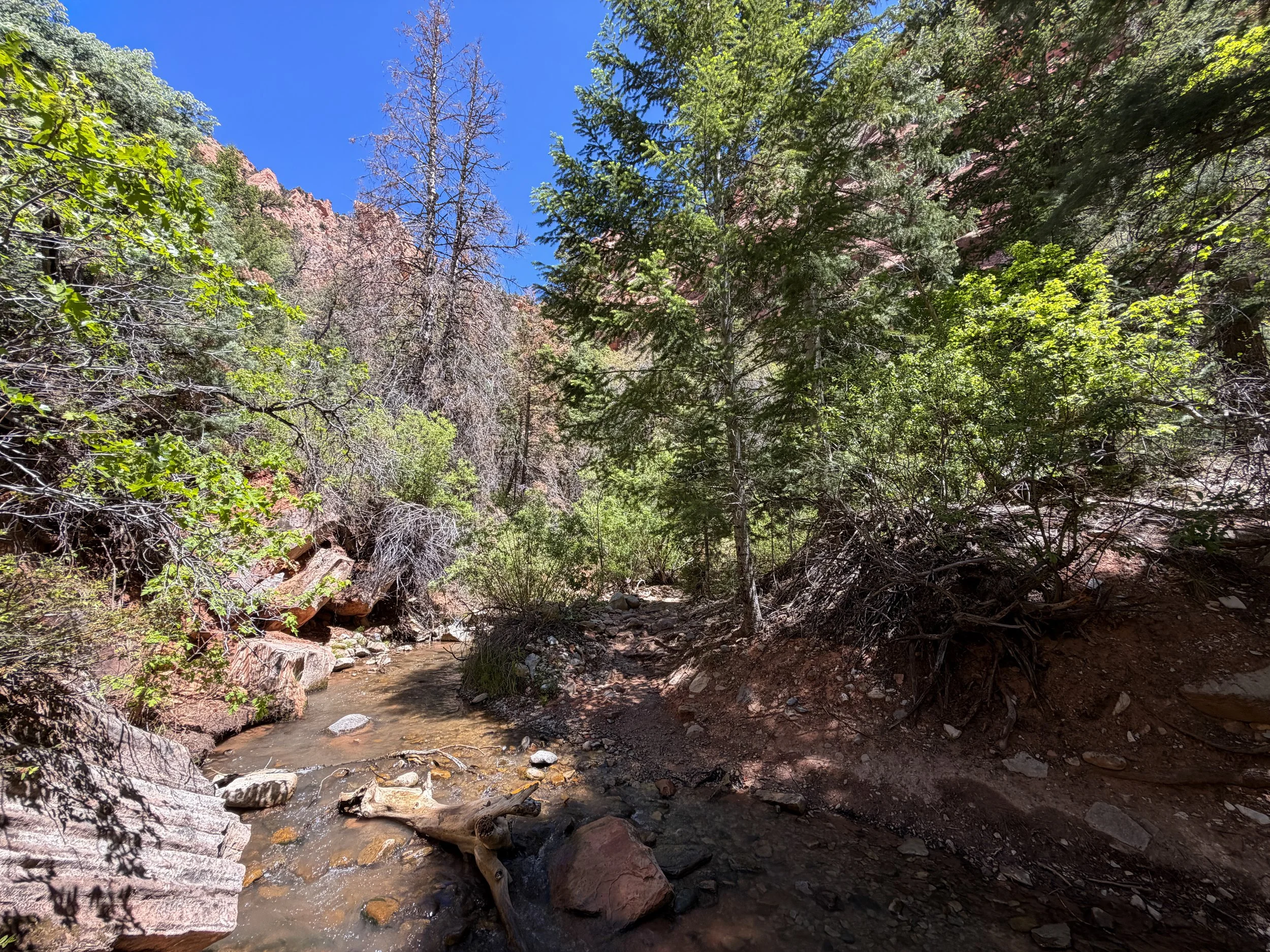 Kanarra Falls Trail Kanarraville Utah