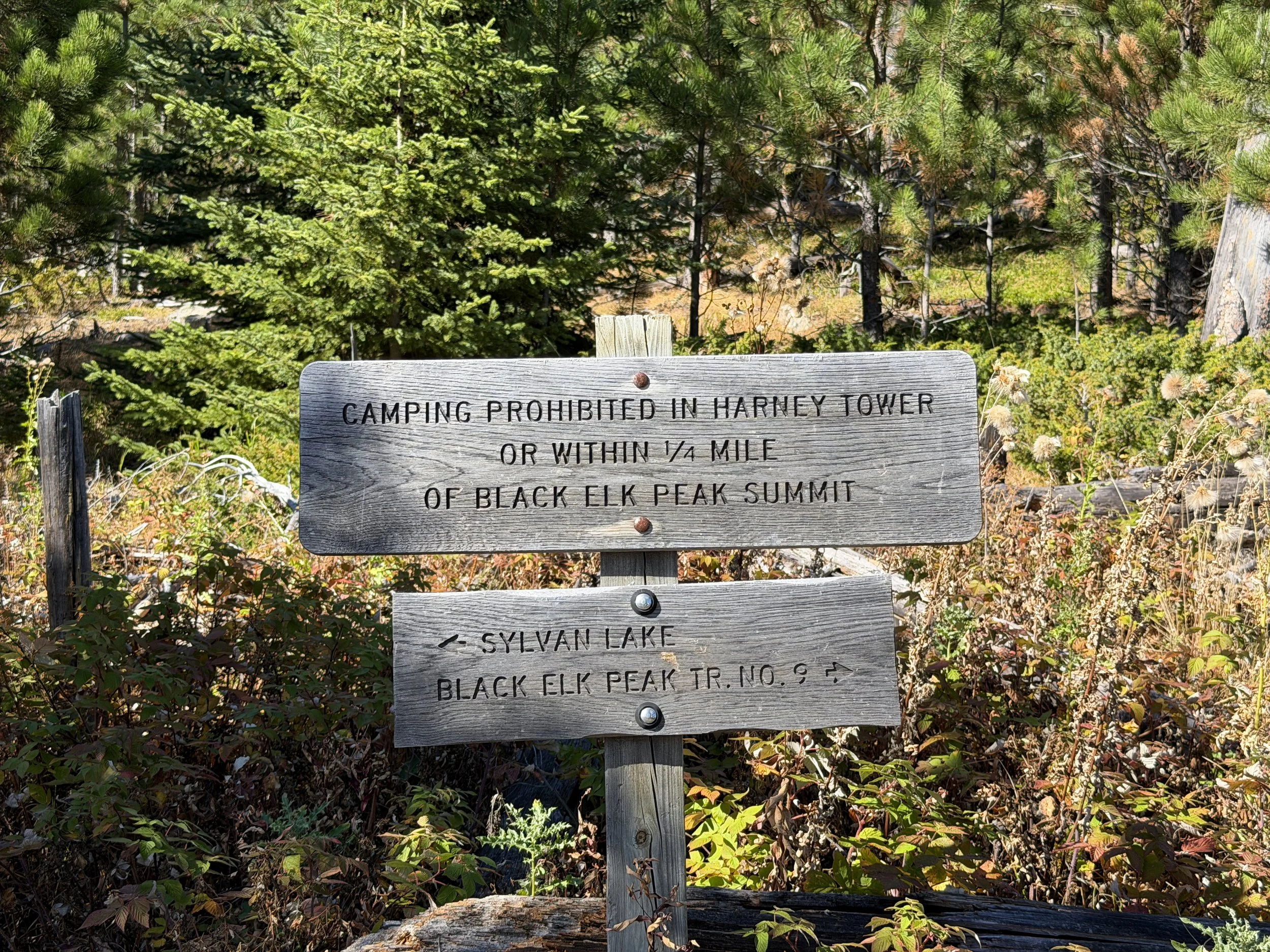 Black Elk Peak Trail to Harney Peak Lookout Black Hills South Dakota