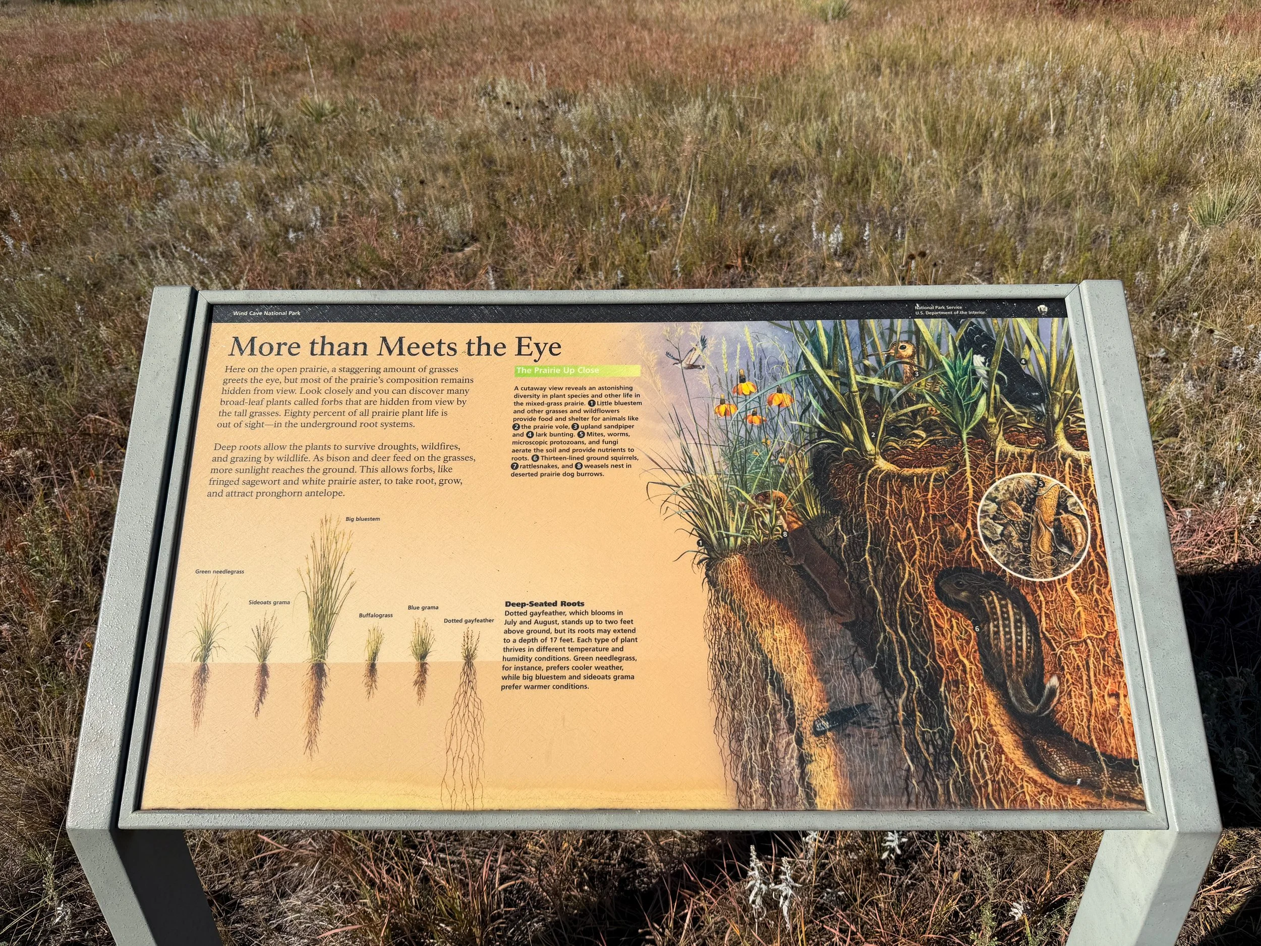 Prairie Vista Nature Trail Wind Cave National Park South Dakota