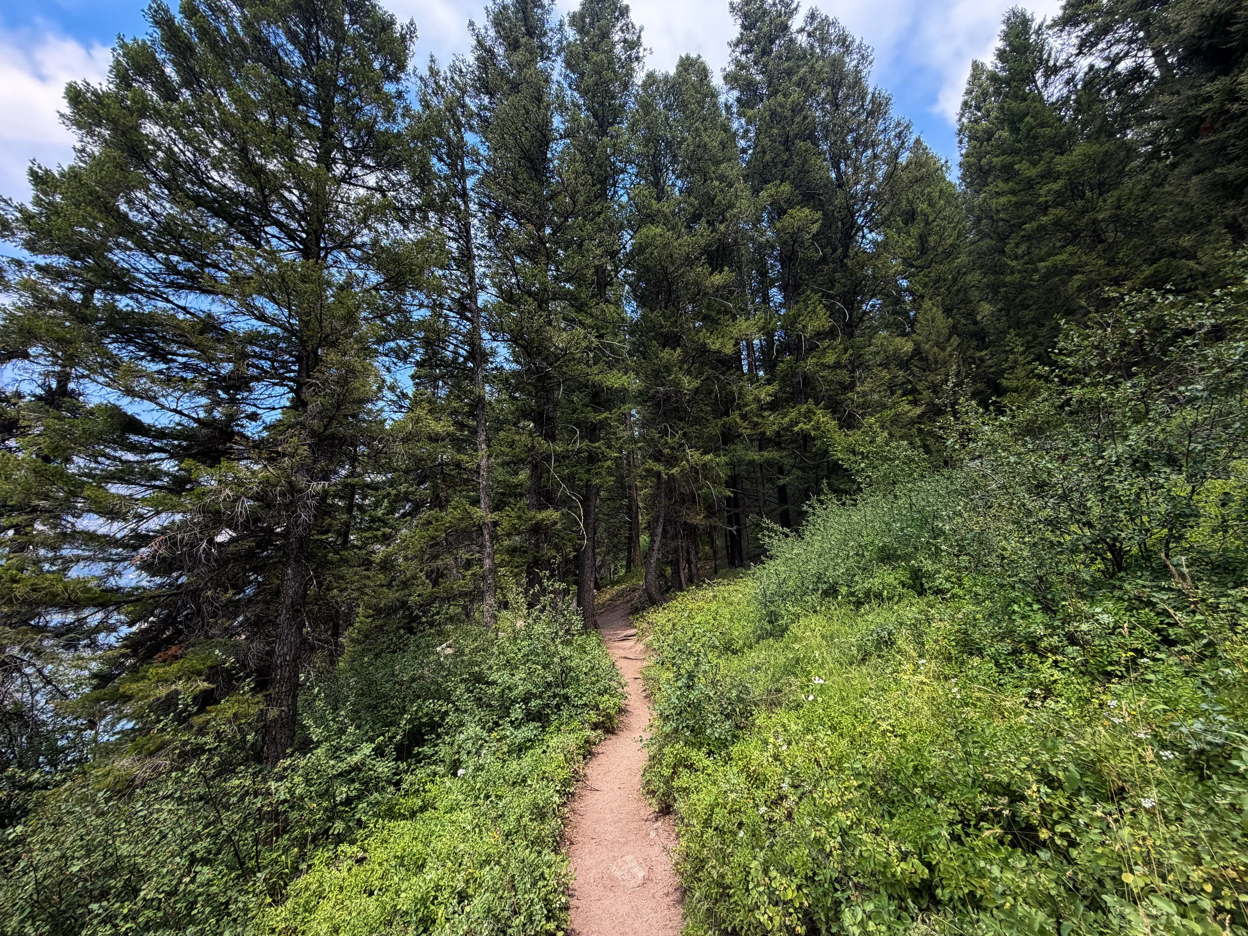 Phelps Lake Loop Trail Grand Teton National Park Wyoming
