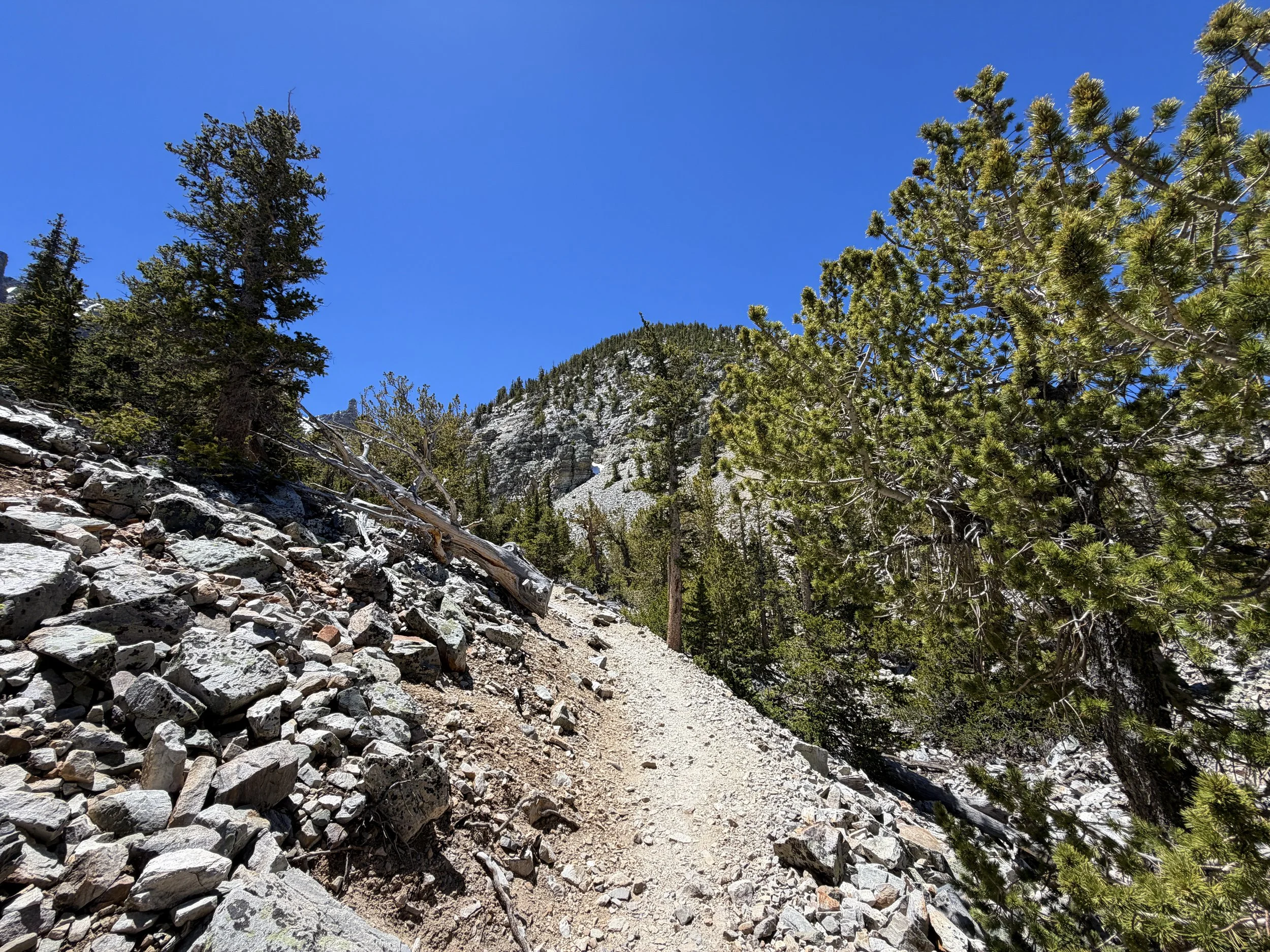 Bristlecone Trail Great Basin National Park Nevada