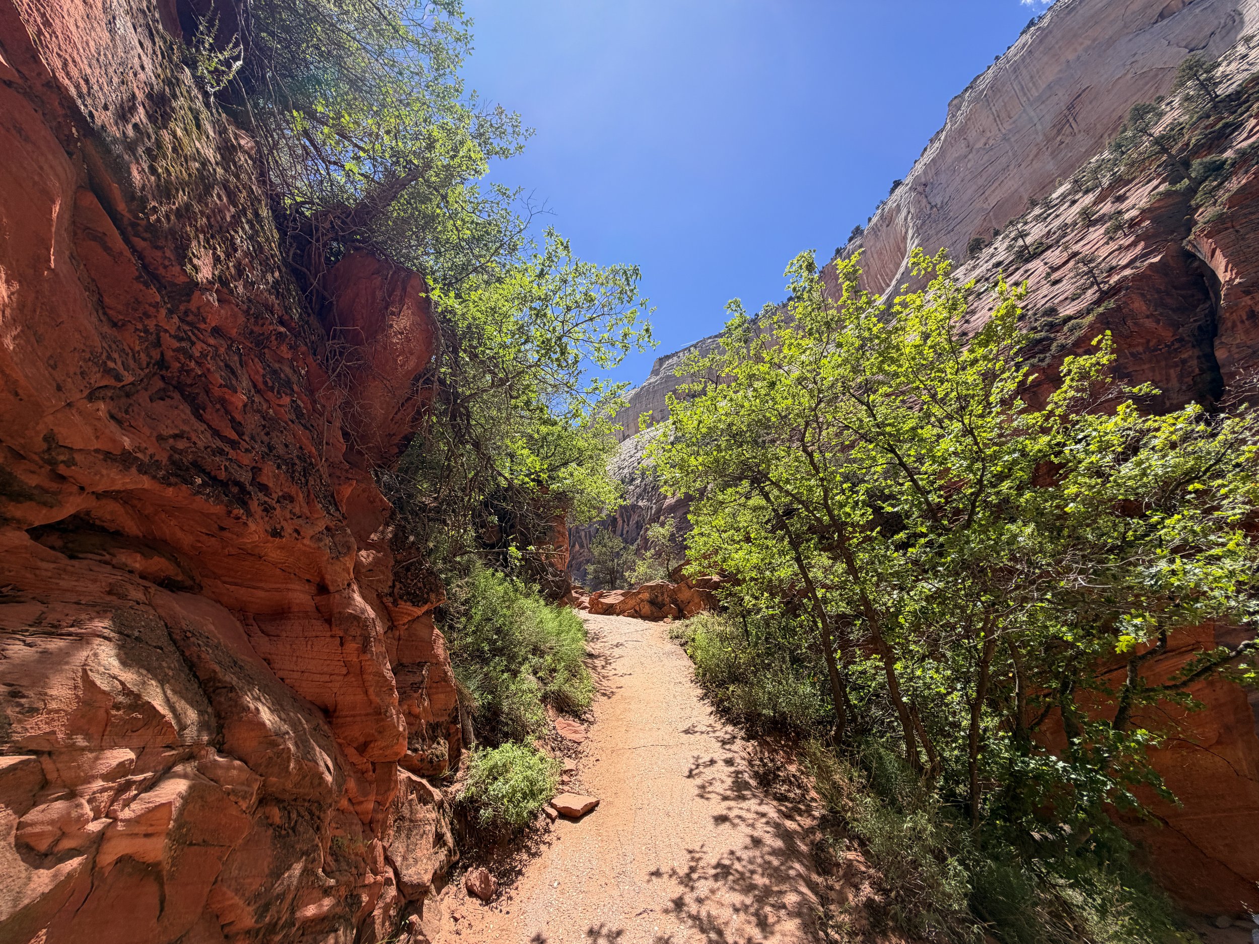 Angels Landing Hike Walters Wiggles Zion National Park Utah