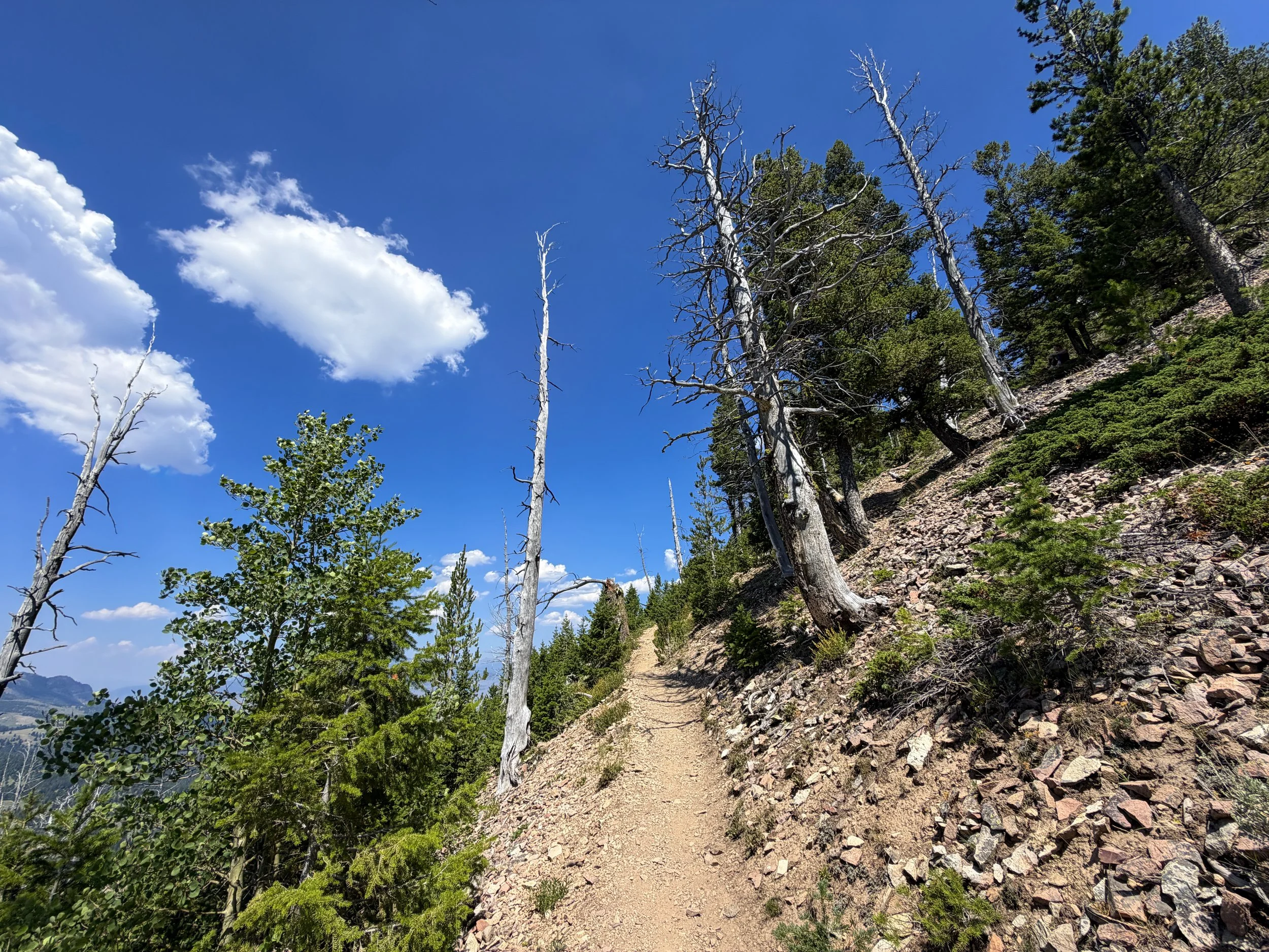 Bunsen Peak Trail Yellowstone National Park Wyoming