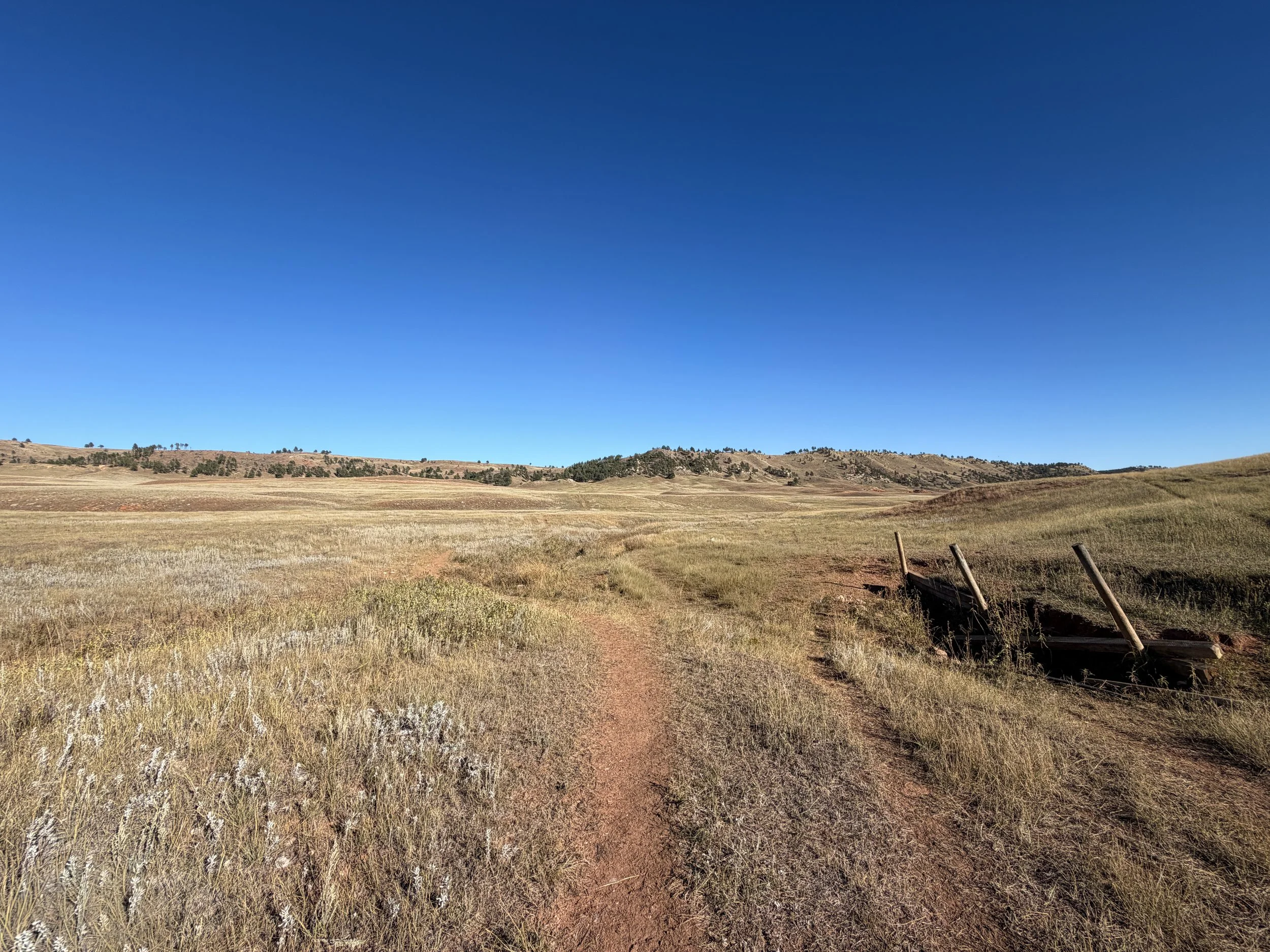 Boland Ridge Trail Wind Cave National Park South Dakota