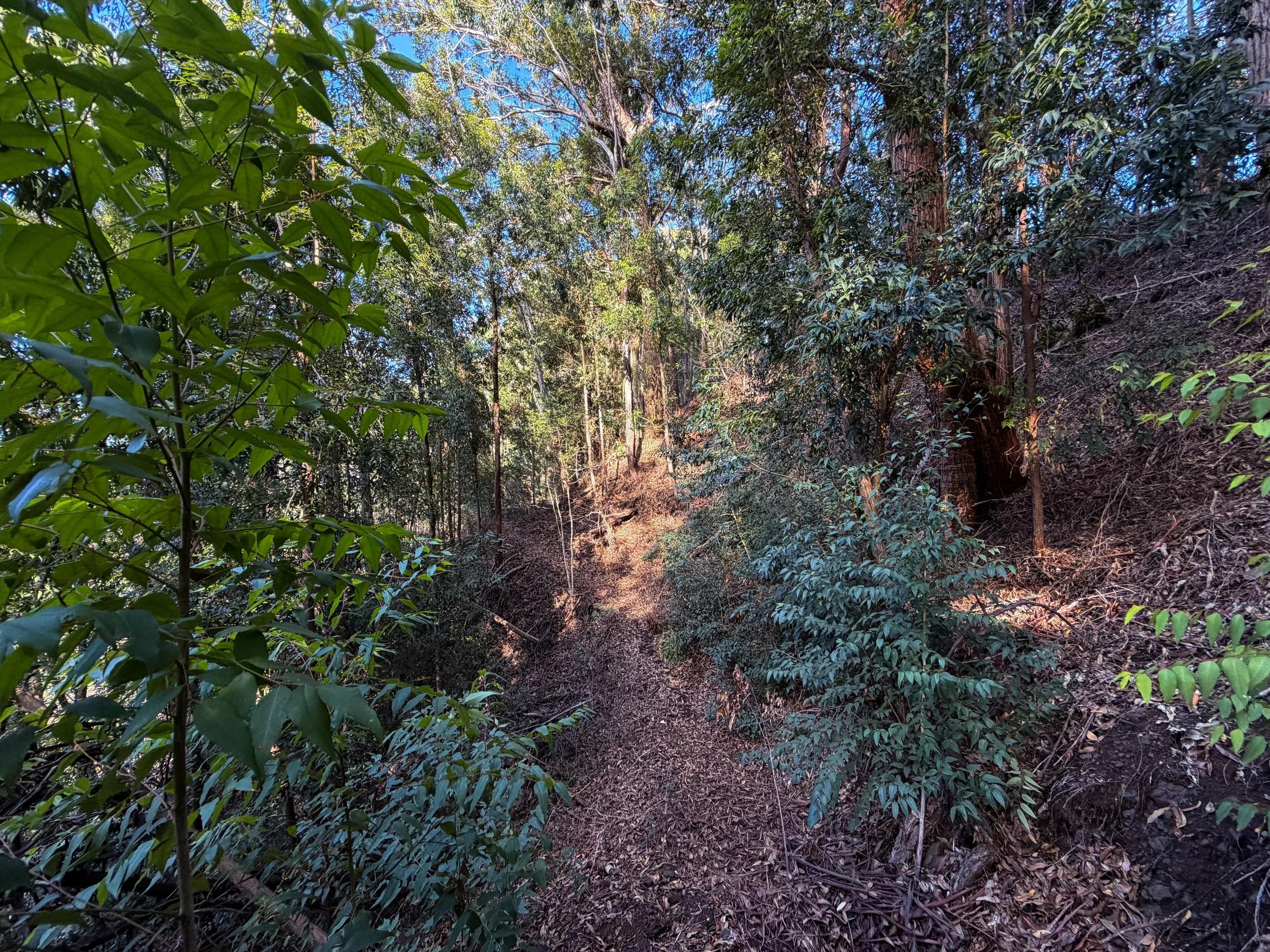 Mokuleia Trail Oahu Hawaii