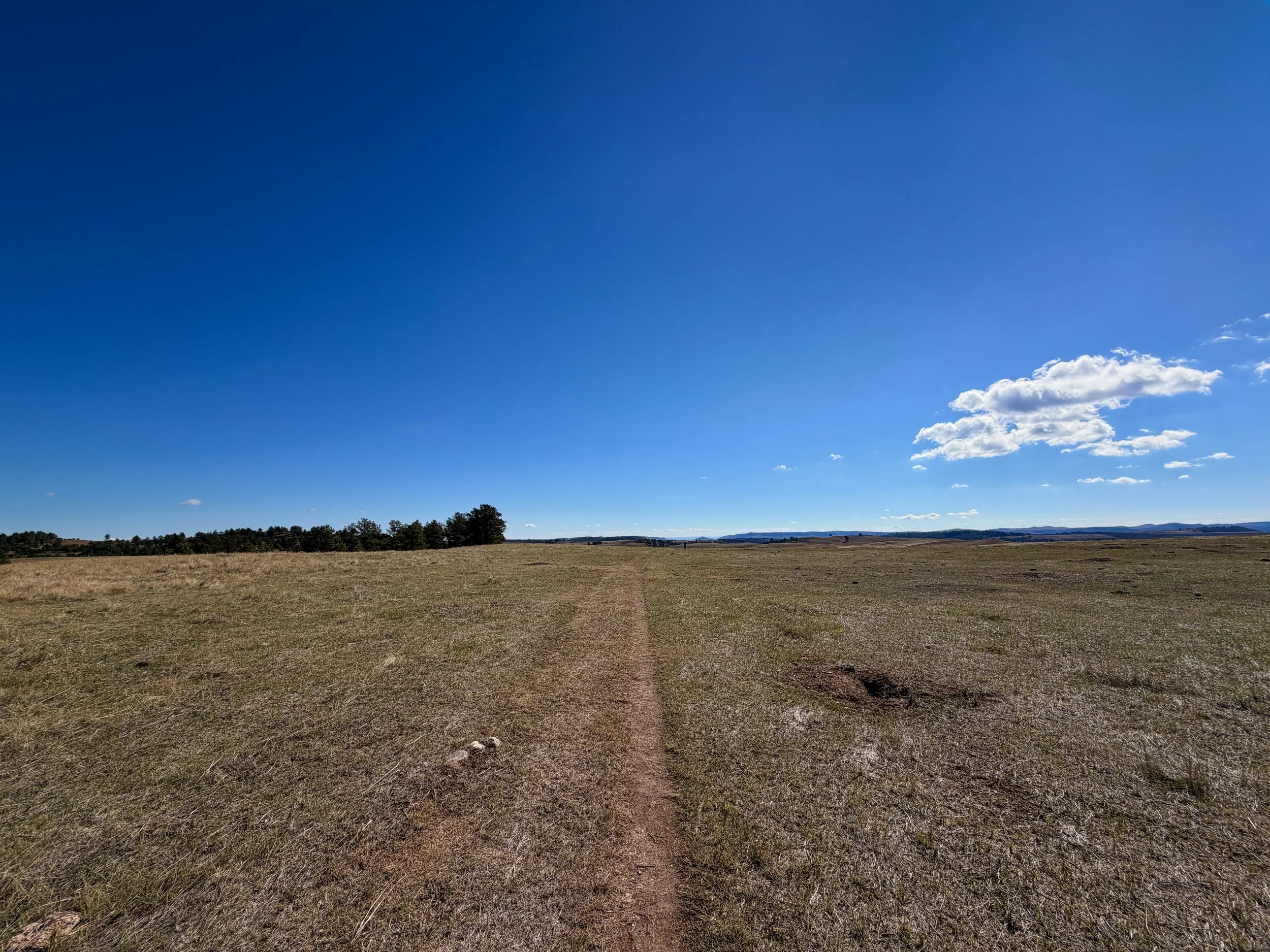 Lookout Point Trail Wind Cave National Park South Dakota