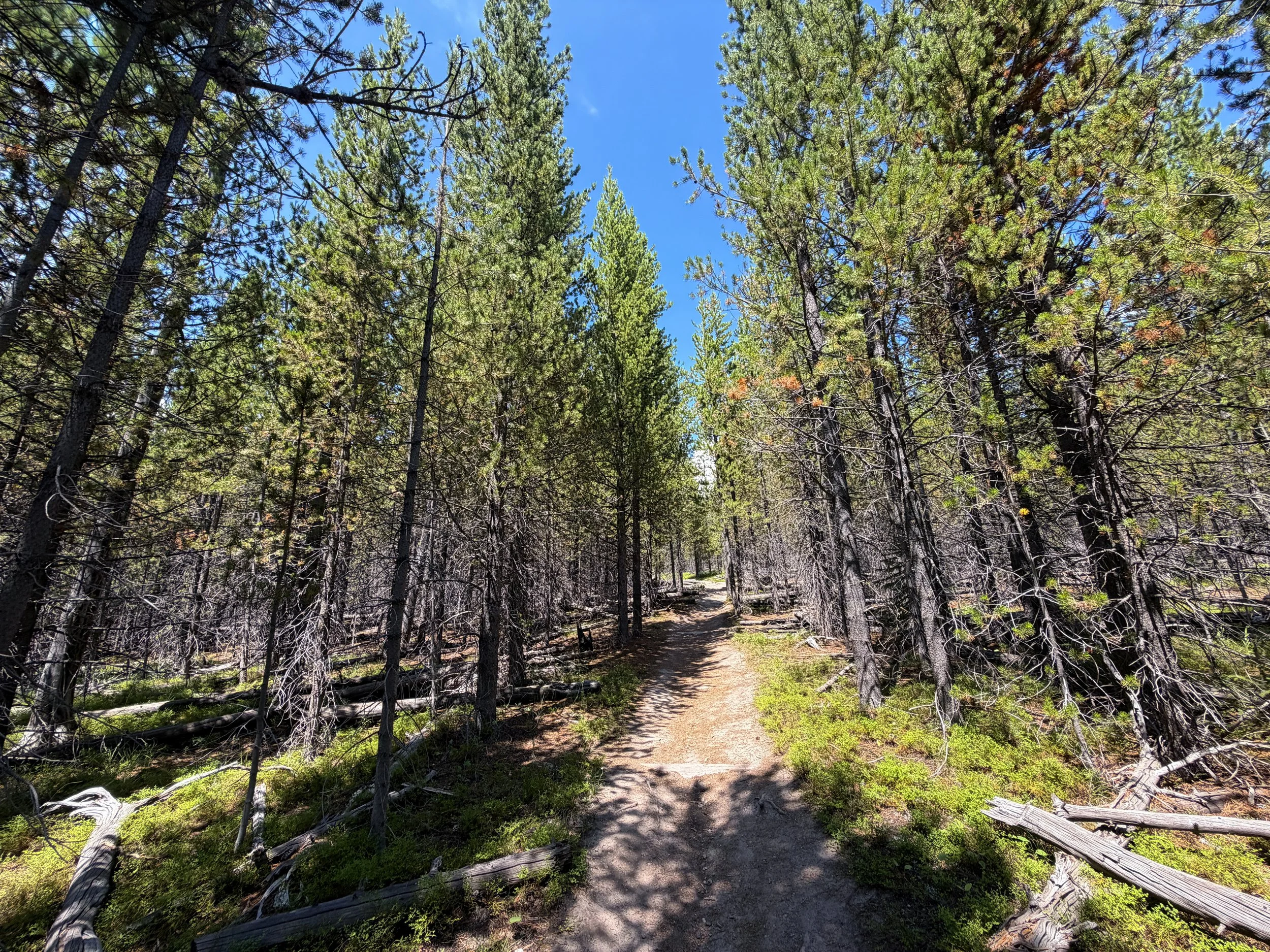 Duck Lake Trail Yellowstone National Park Wyoming